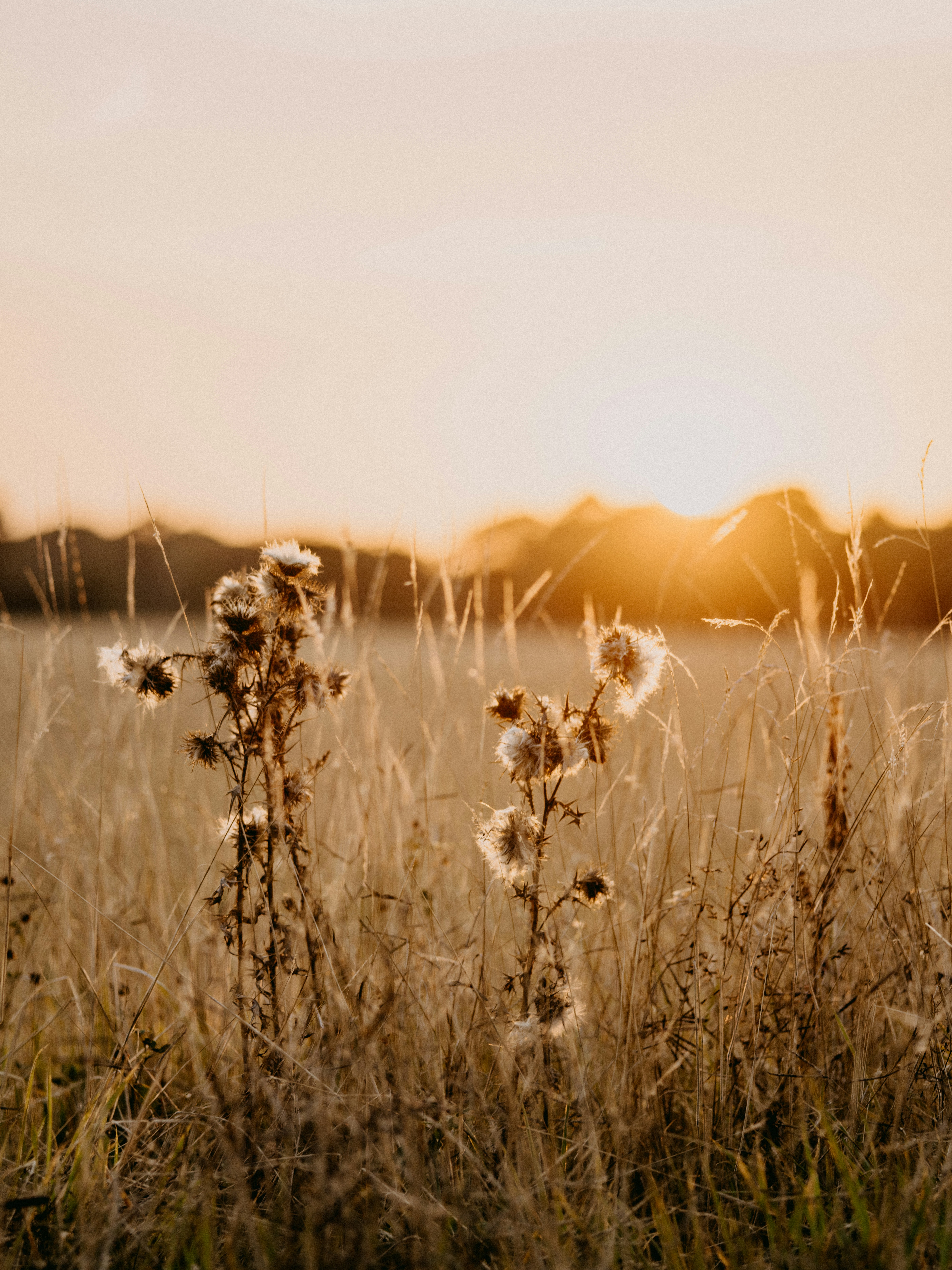 Photo by anniespratt