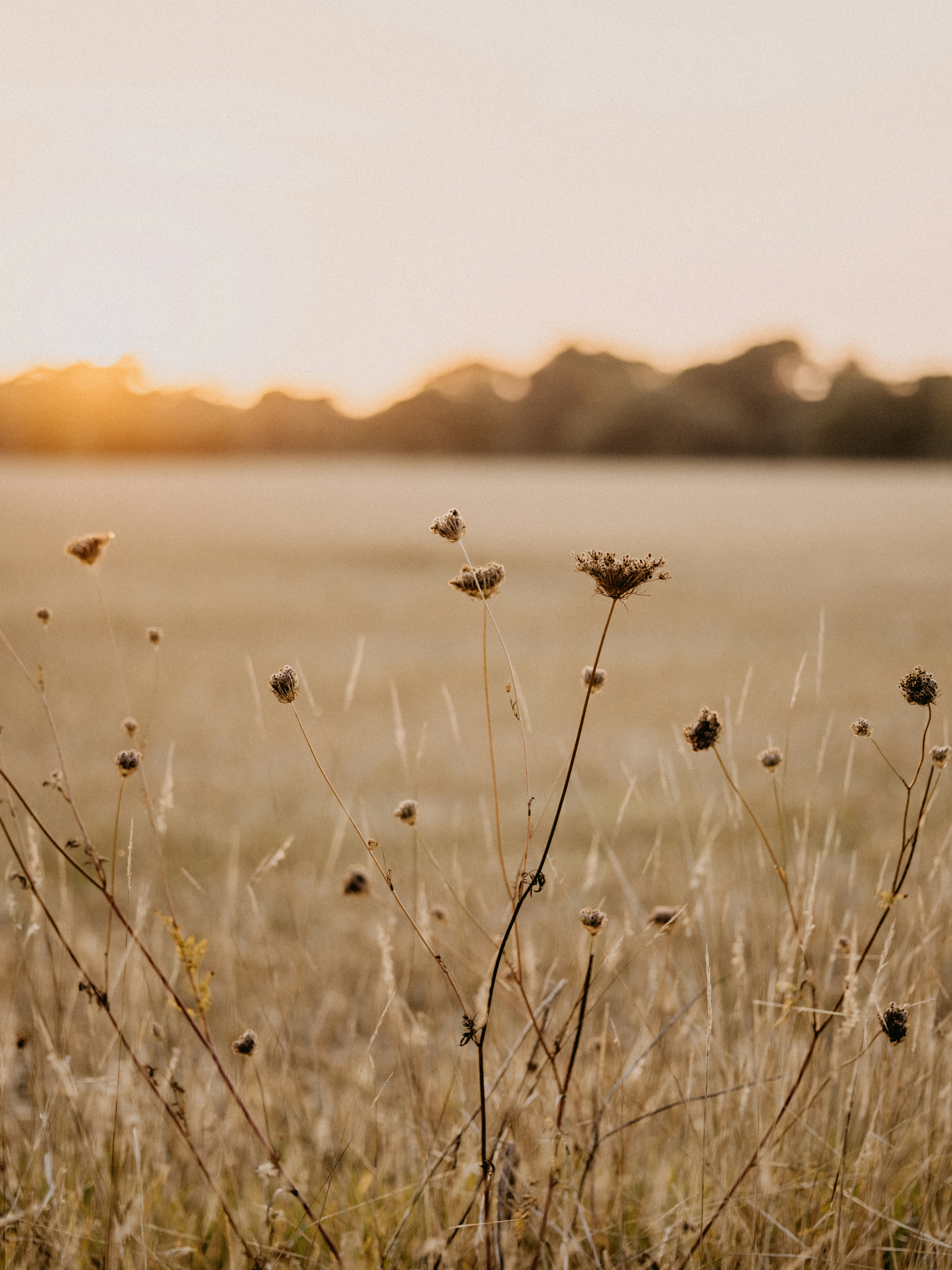 Photo by anniespratt