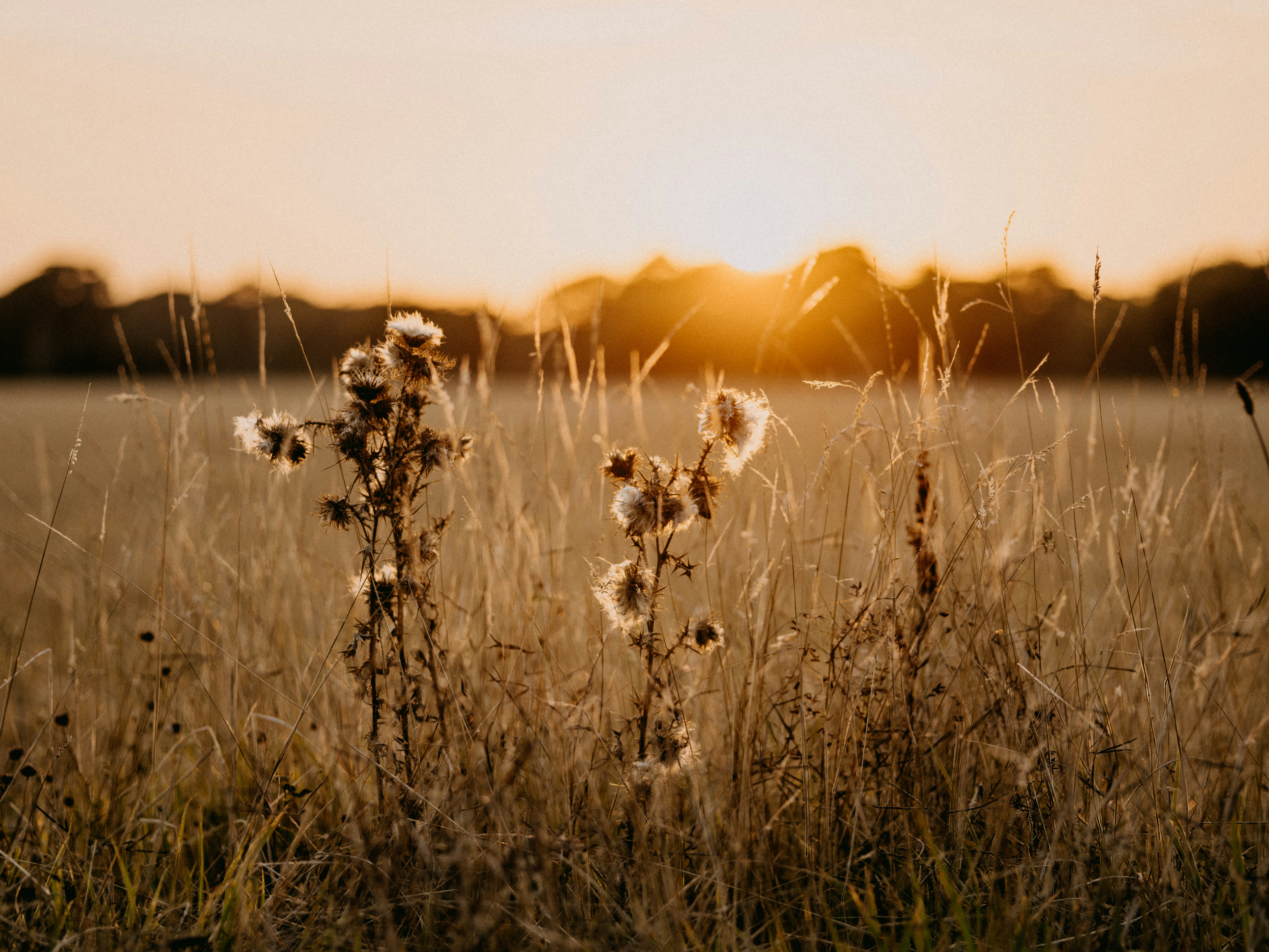 Photo by anniespratt