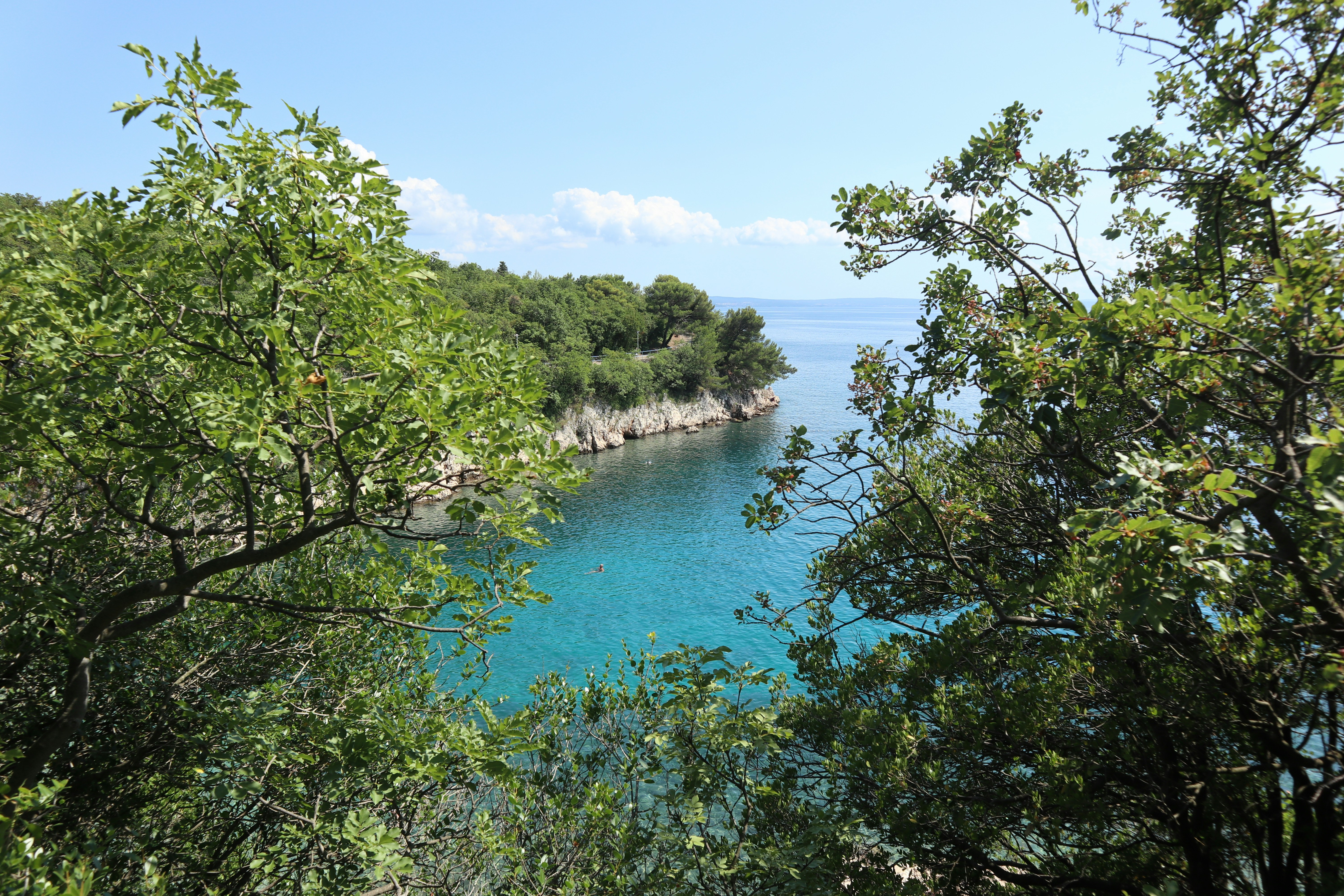 Photo by balint_miko