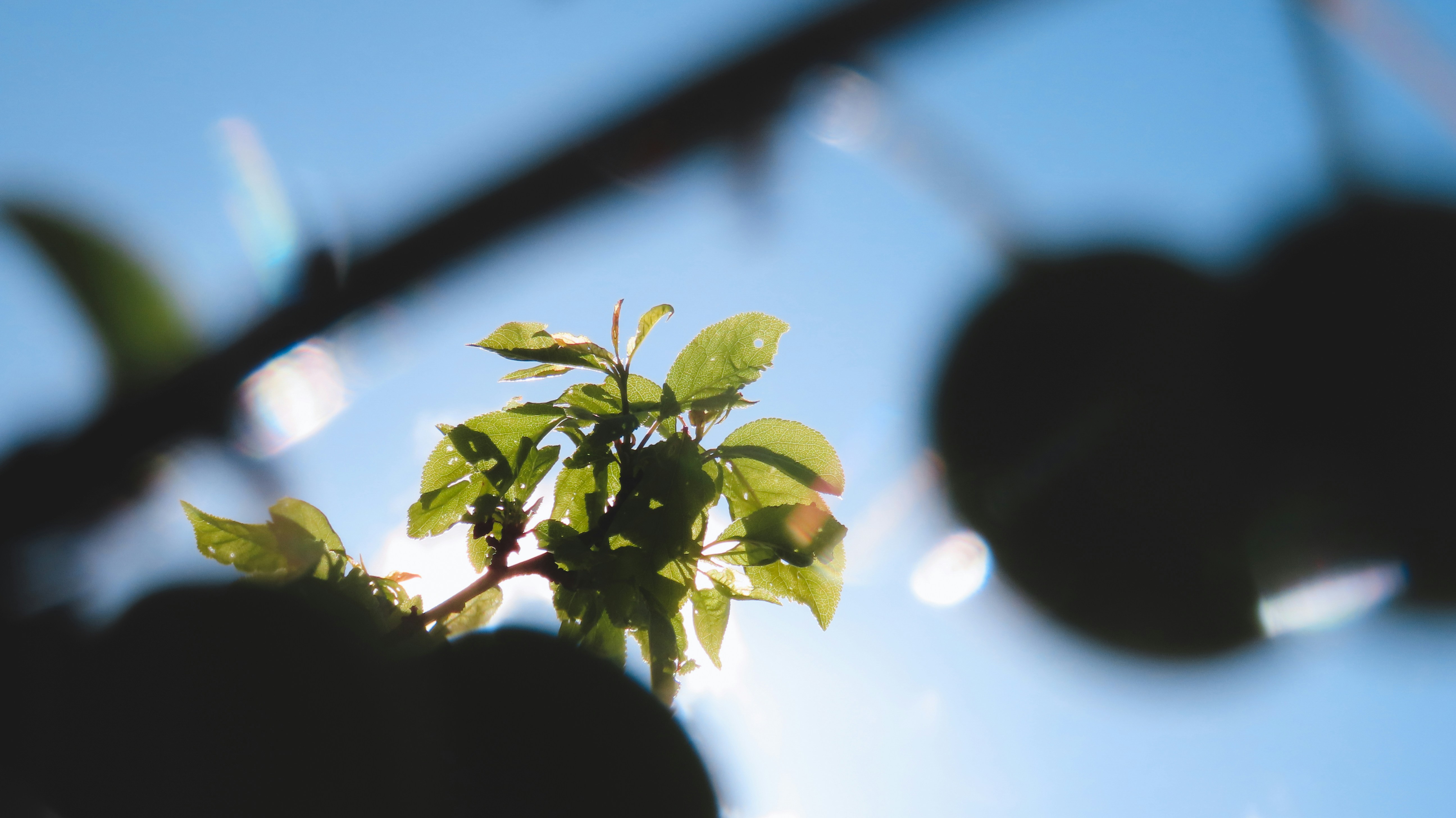 Photo by cc_photograph