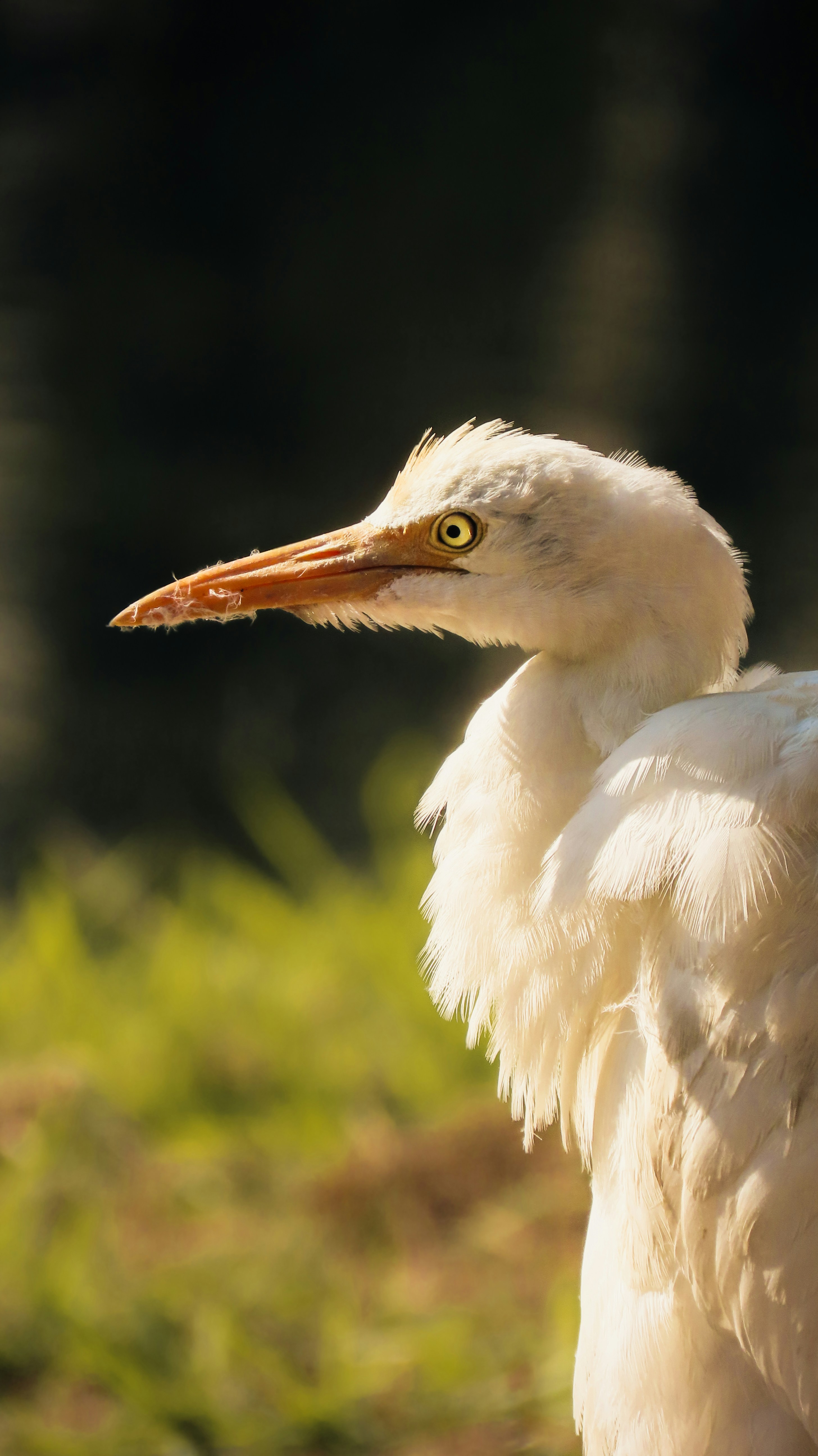 Photo by cc_photograph