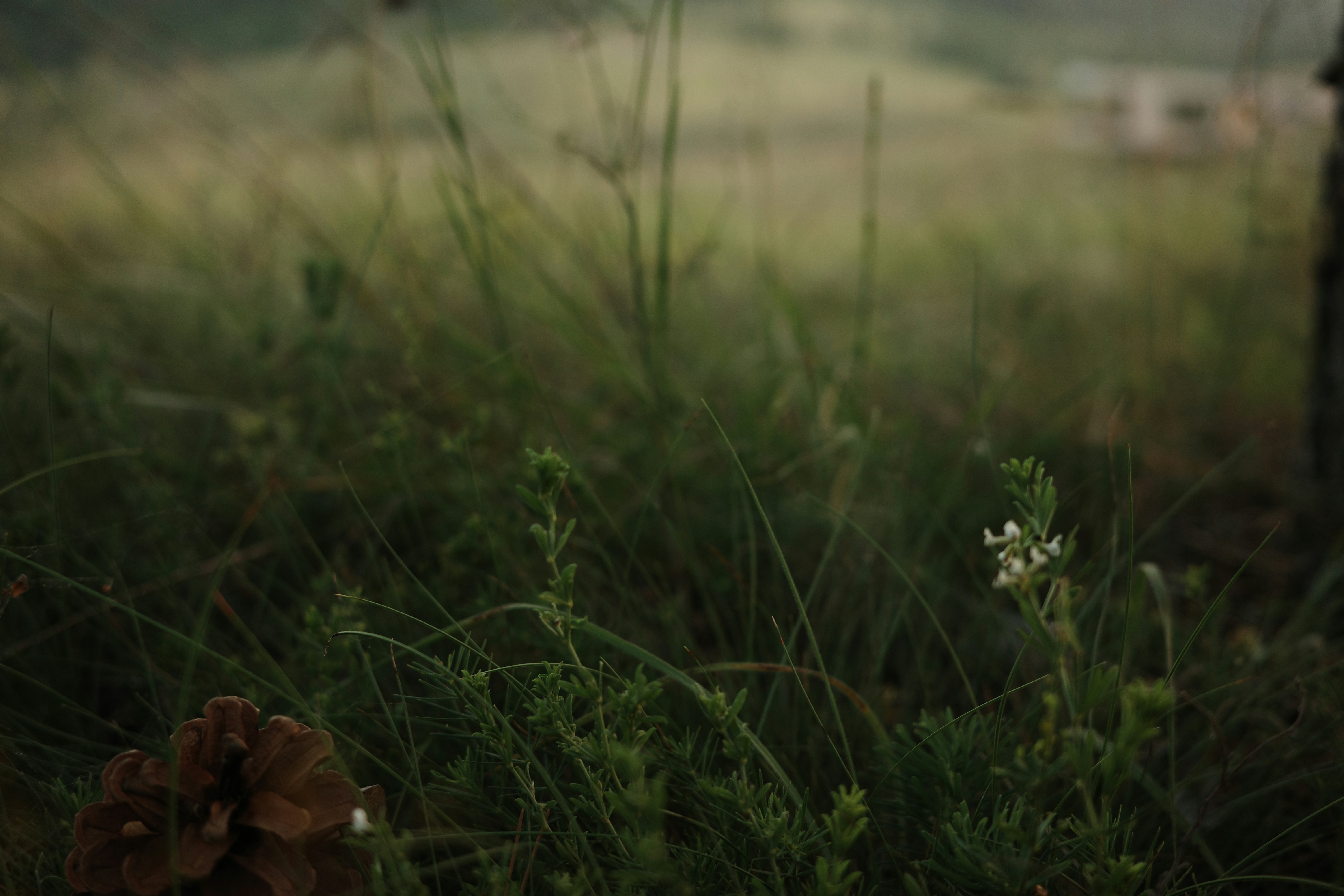 Photo by dmitrii_filatov