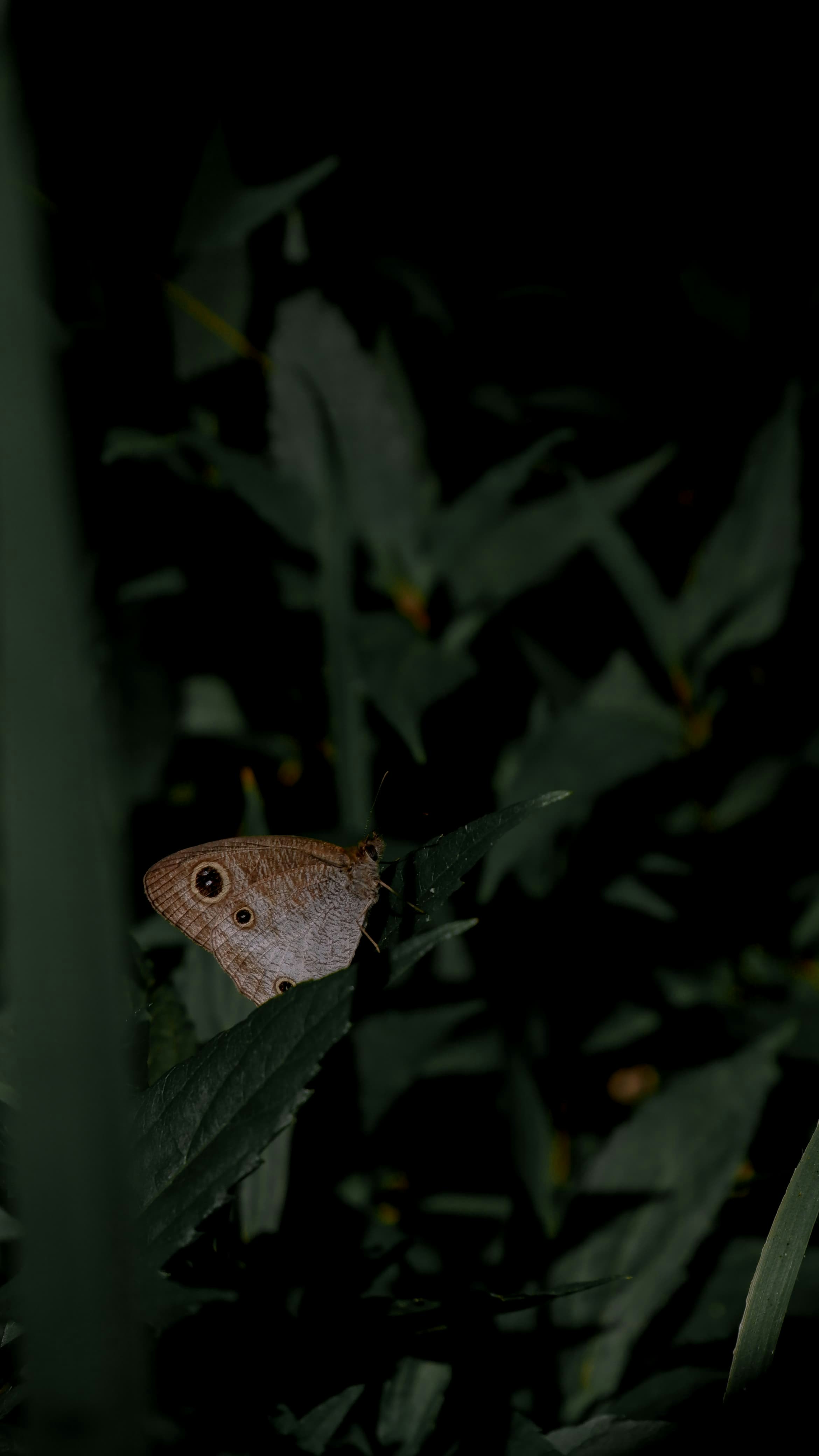 Photo by ardi_fi04