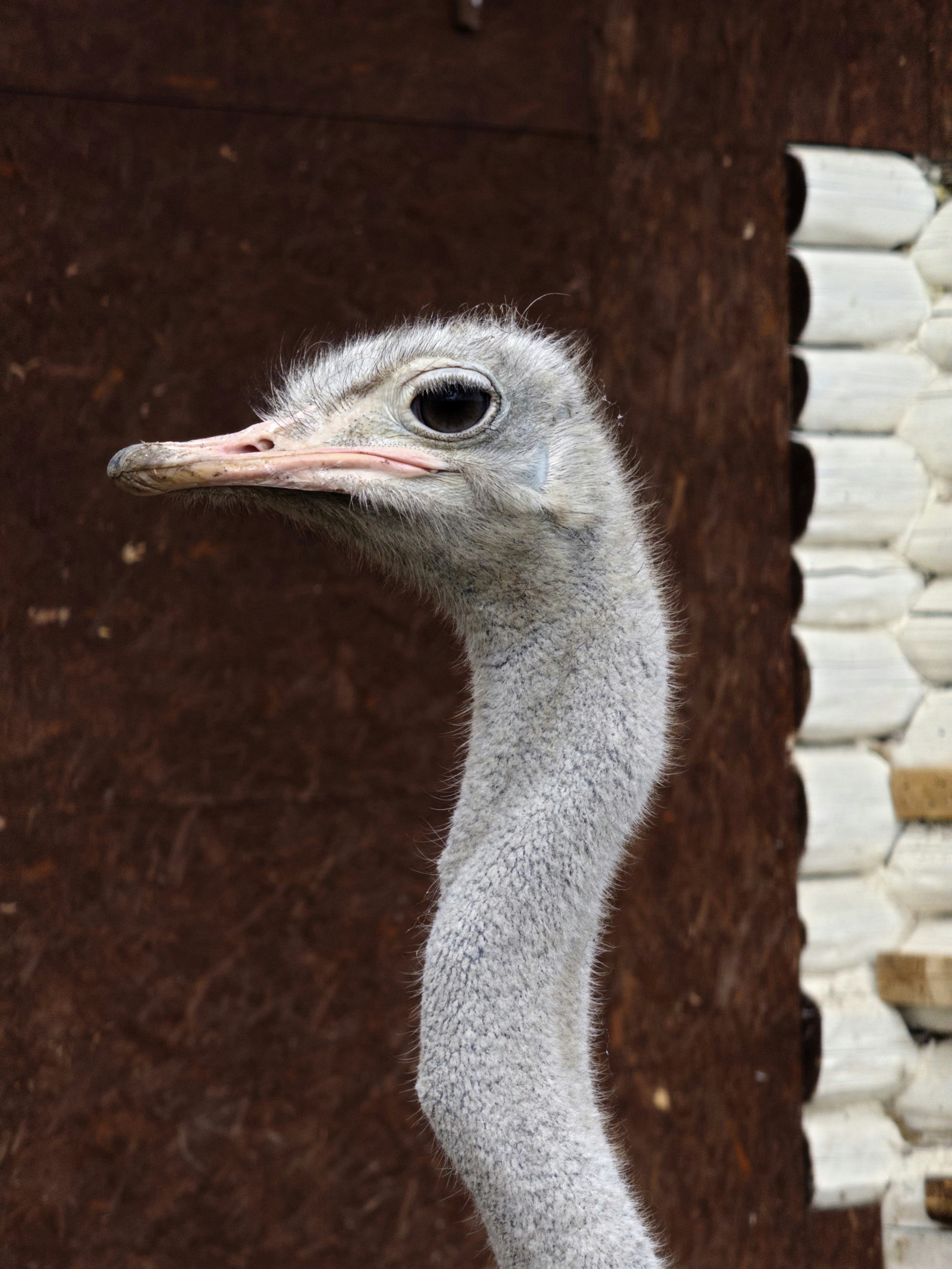 Photo by tatarinovms