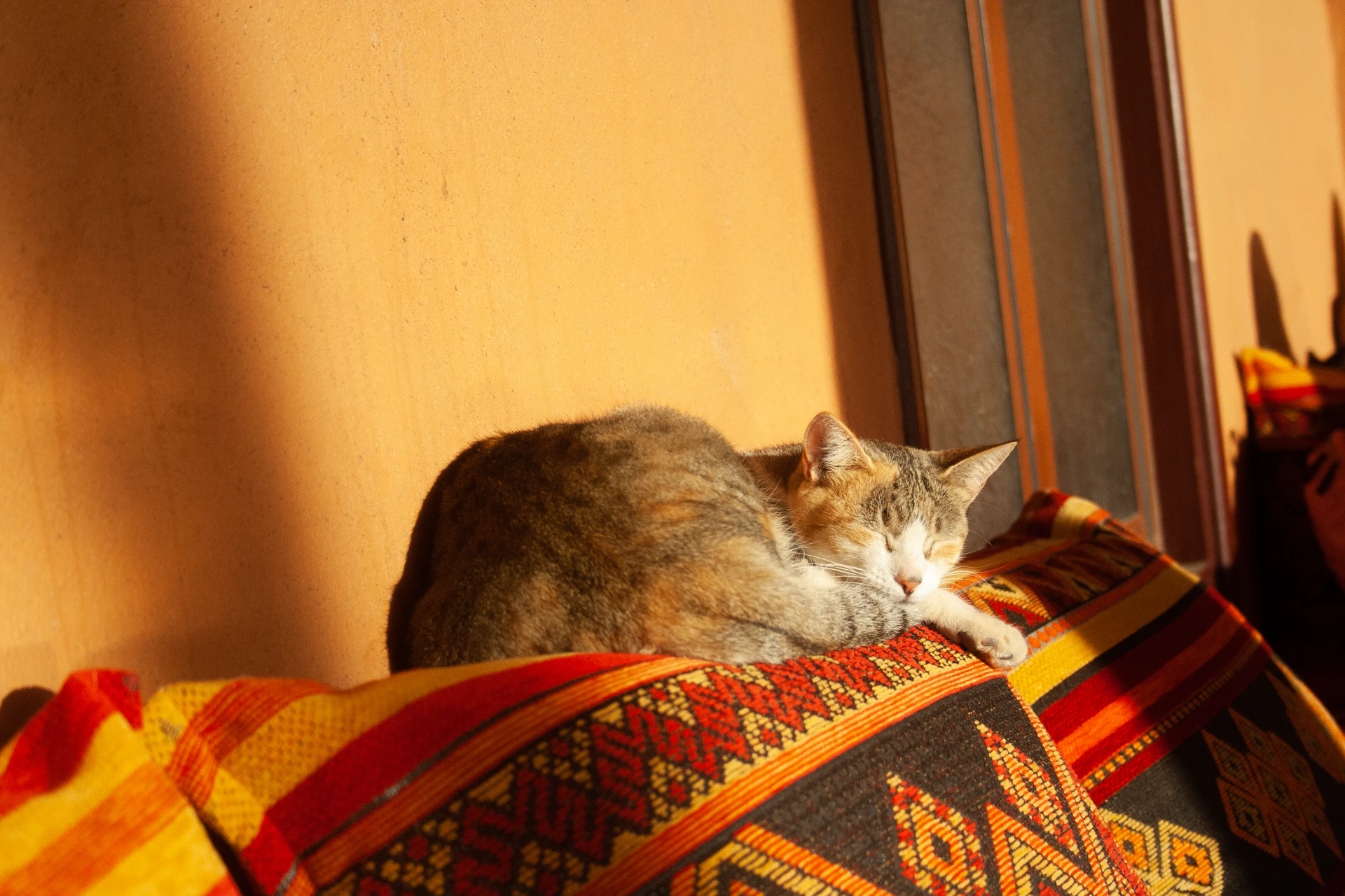 A cat is sleeping on a colorful pillow