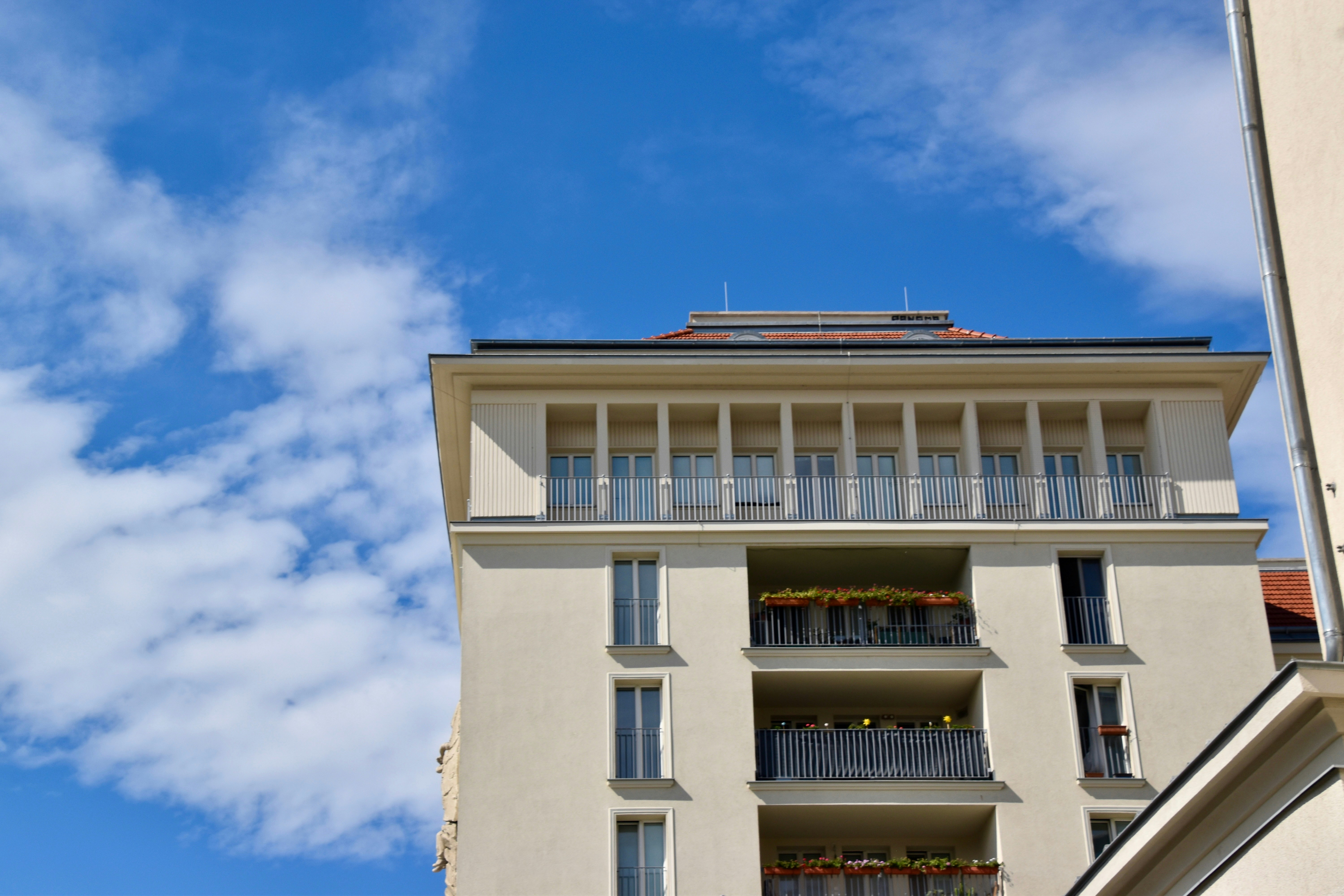 Photo by sisacreative