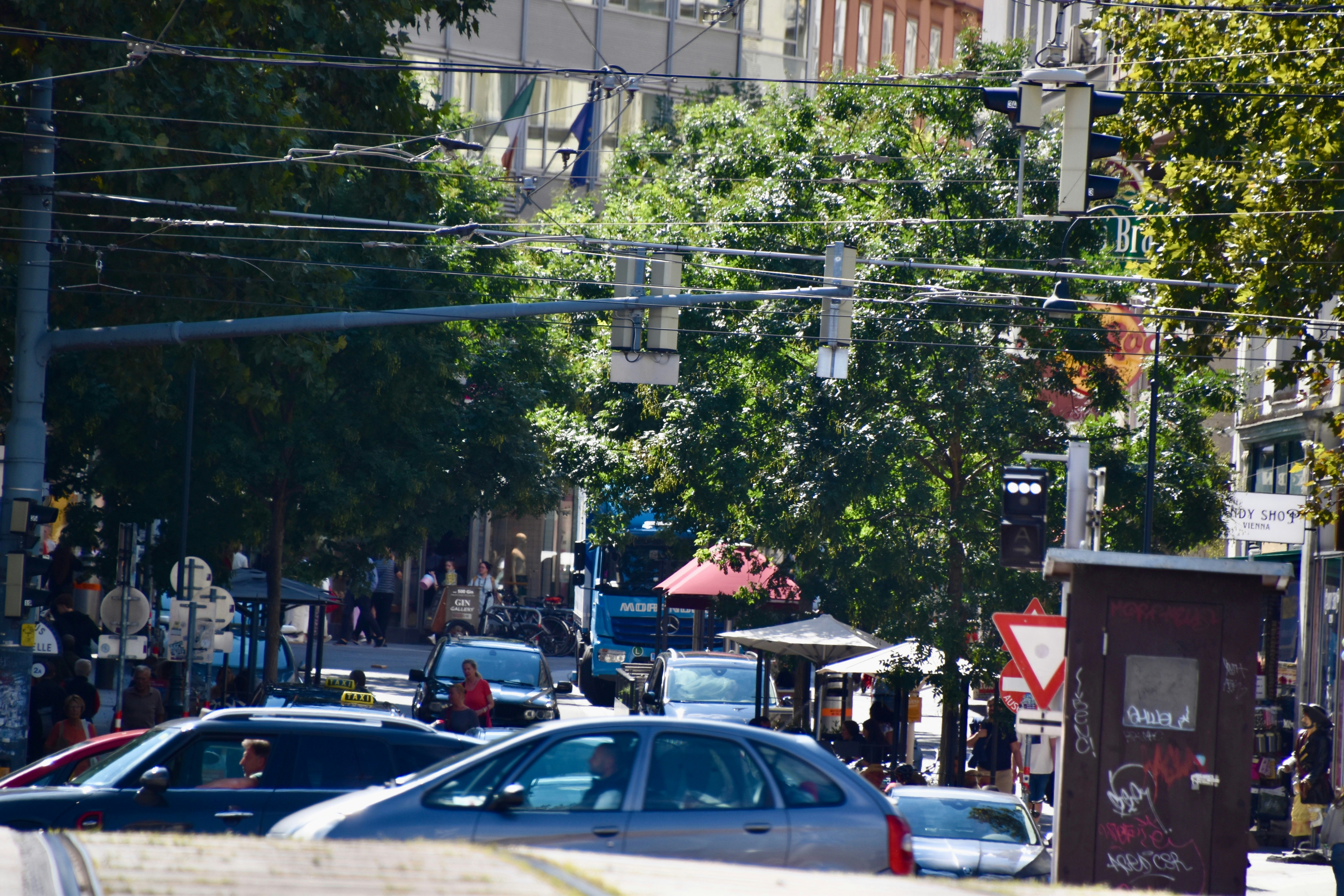 Photo by sisacreative