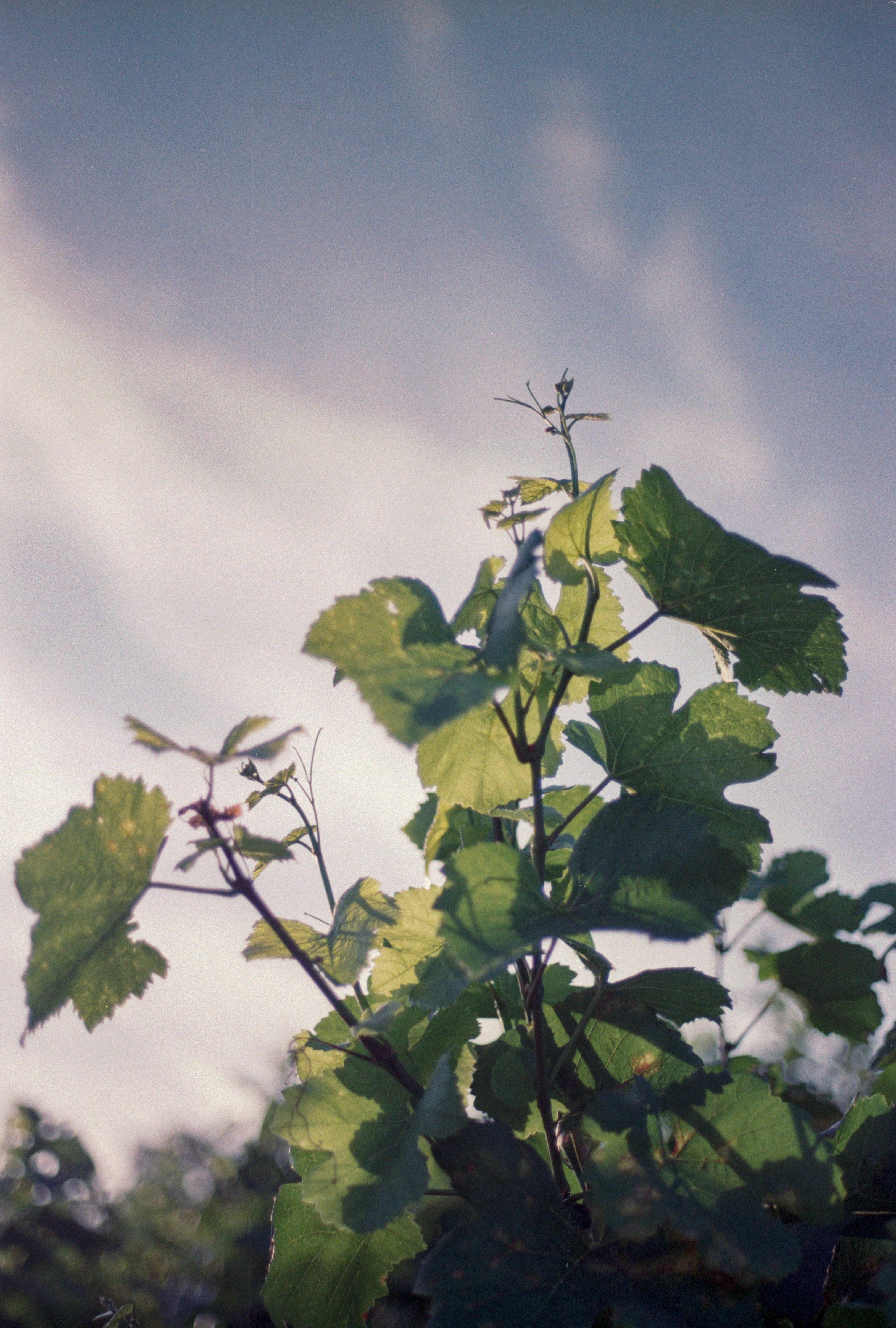 Photo by timloeckmann