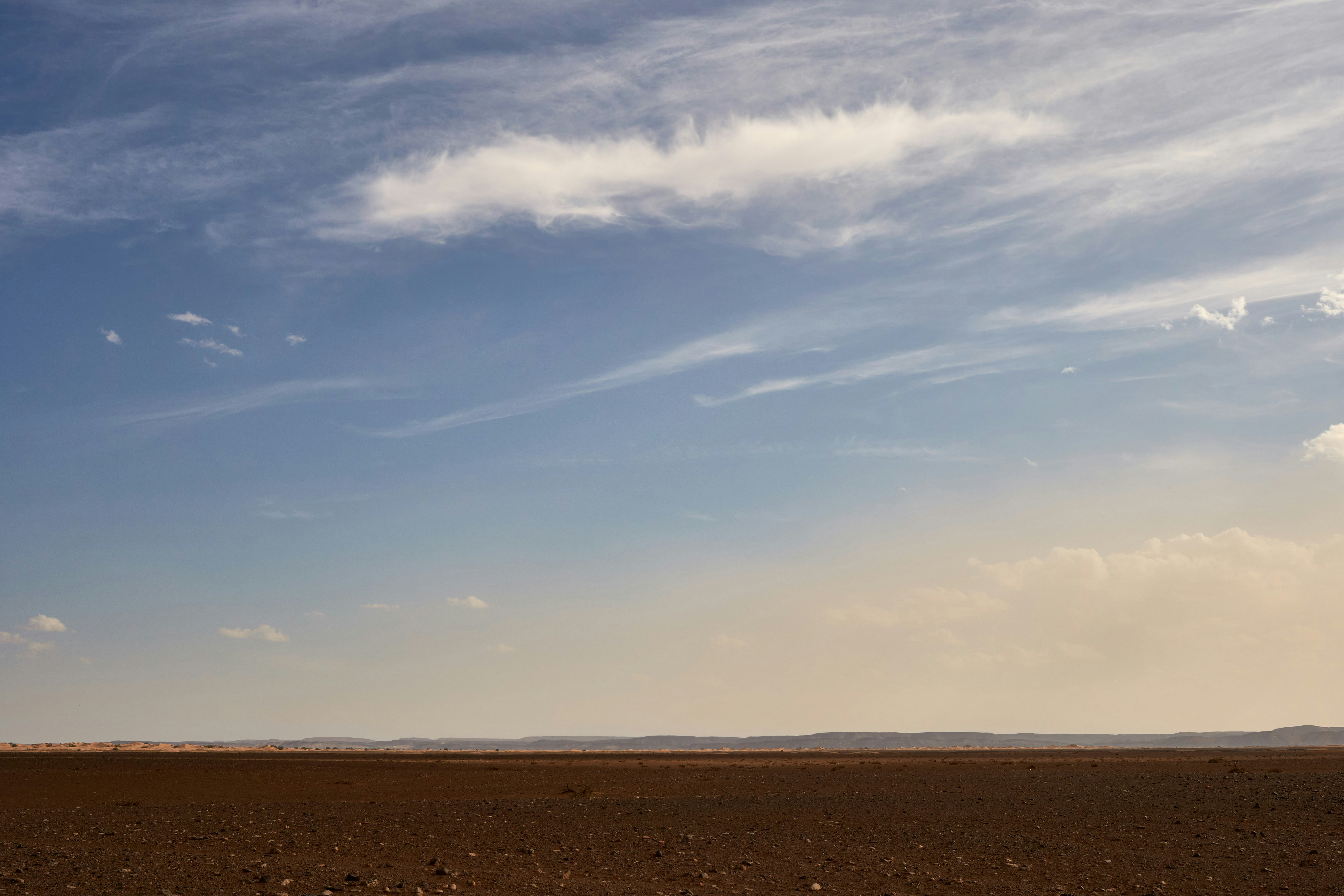 Photo by wolfgang_hasselmann