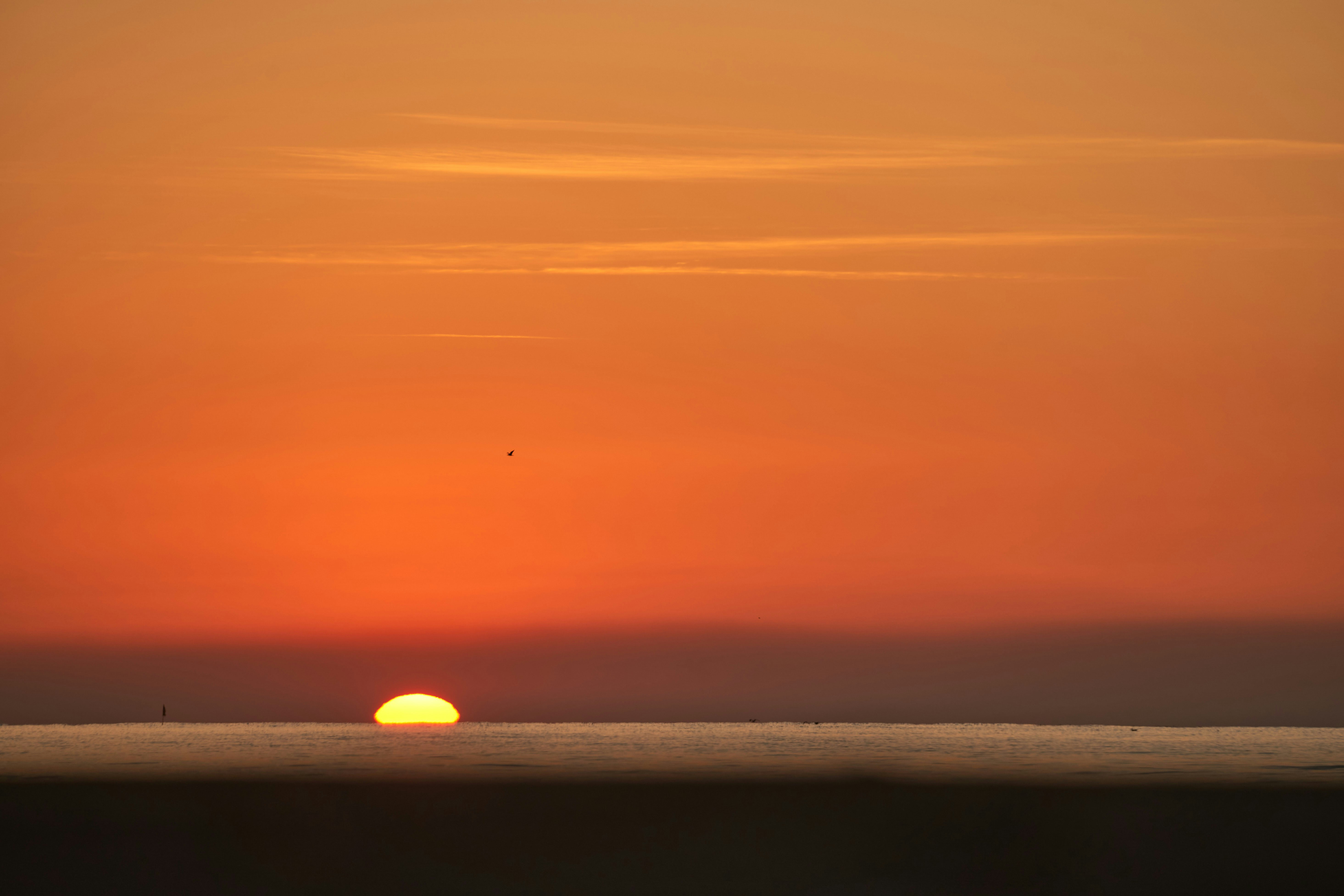 Photo by wolfgang_hasselmann