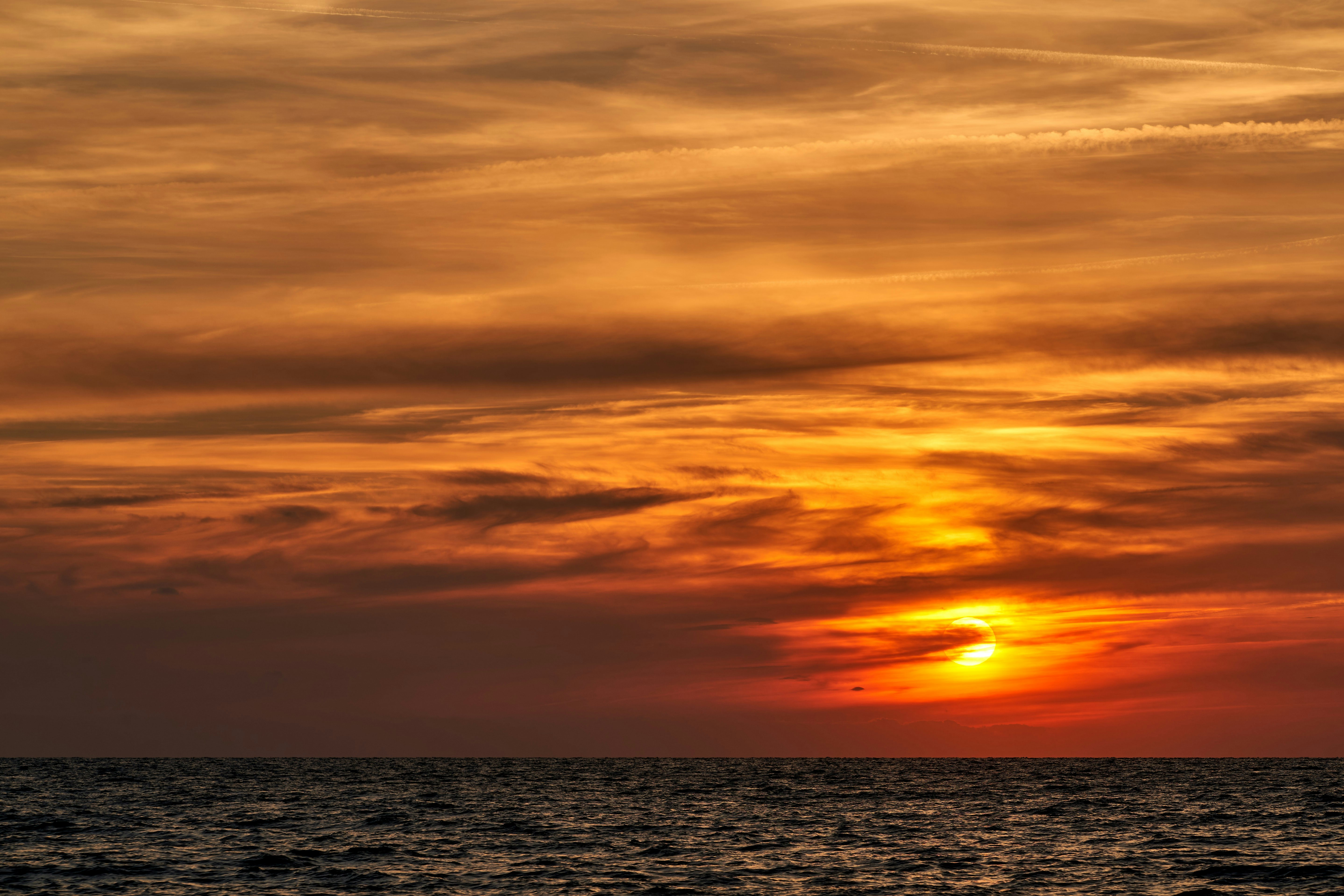 Photo by wolfgang_hasselmann