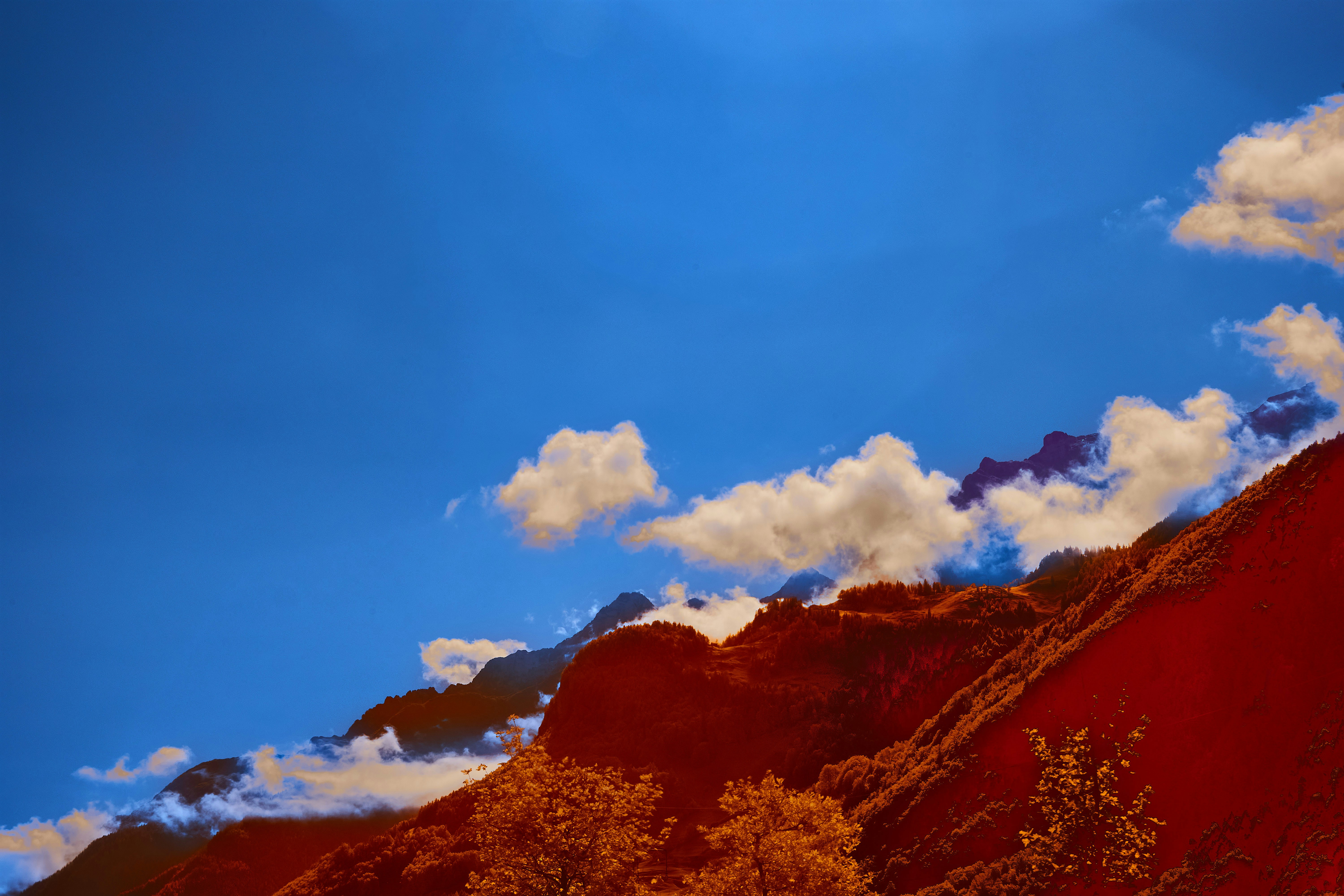 Photo by wolfgang_hasselmann