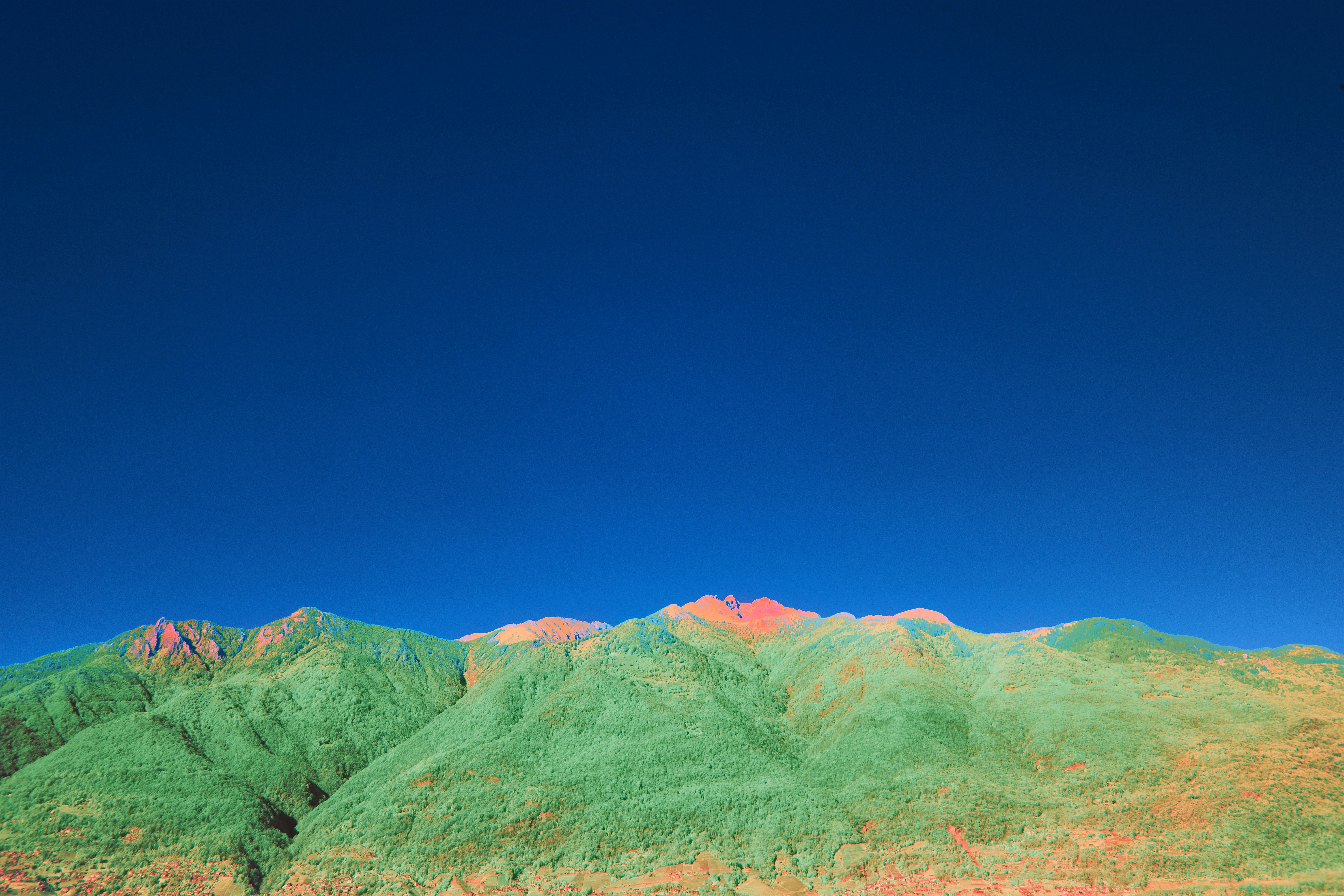 Photo by wolfgang_hasselmann