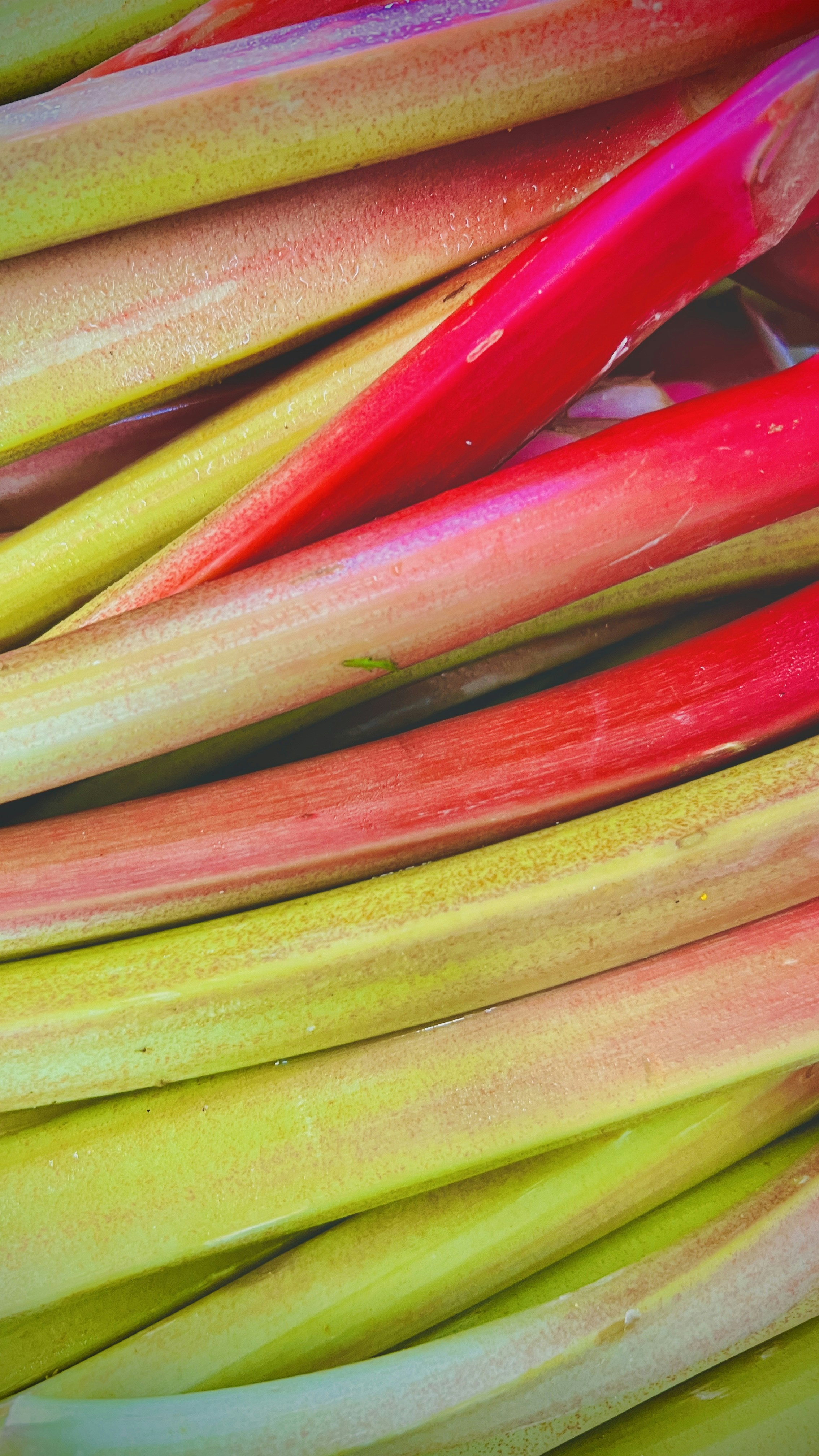 Photo by georginabaly