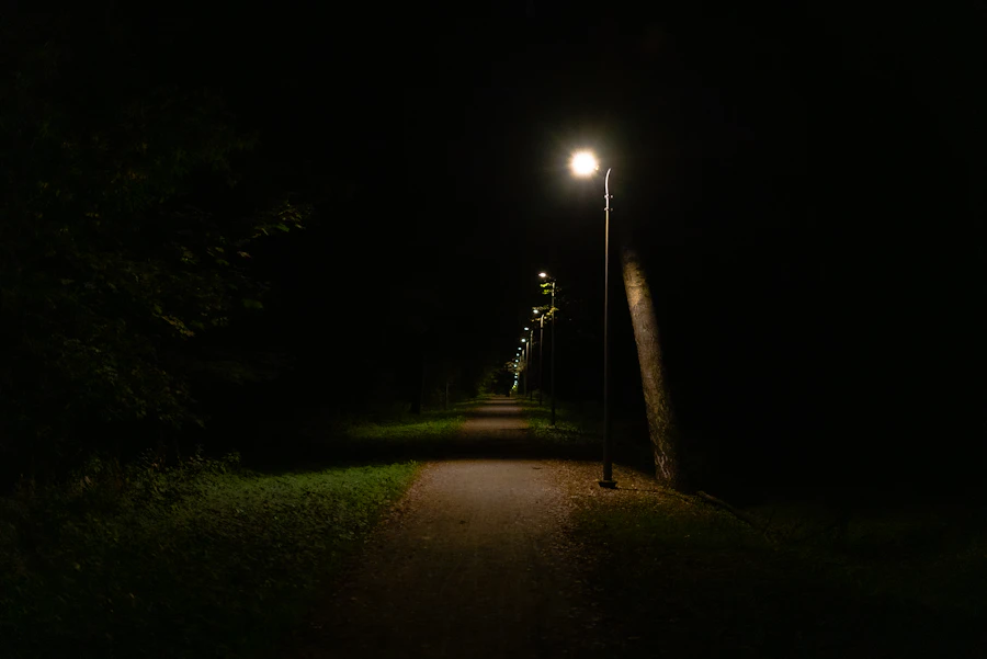 BeamPro 30W Flood Light