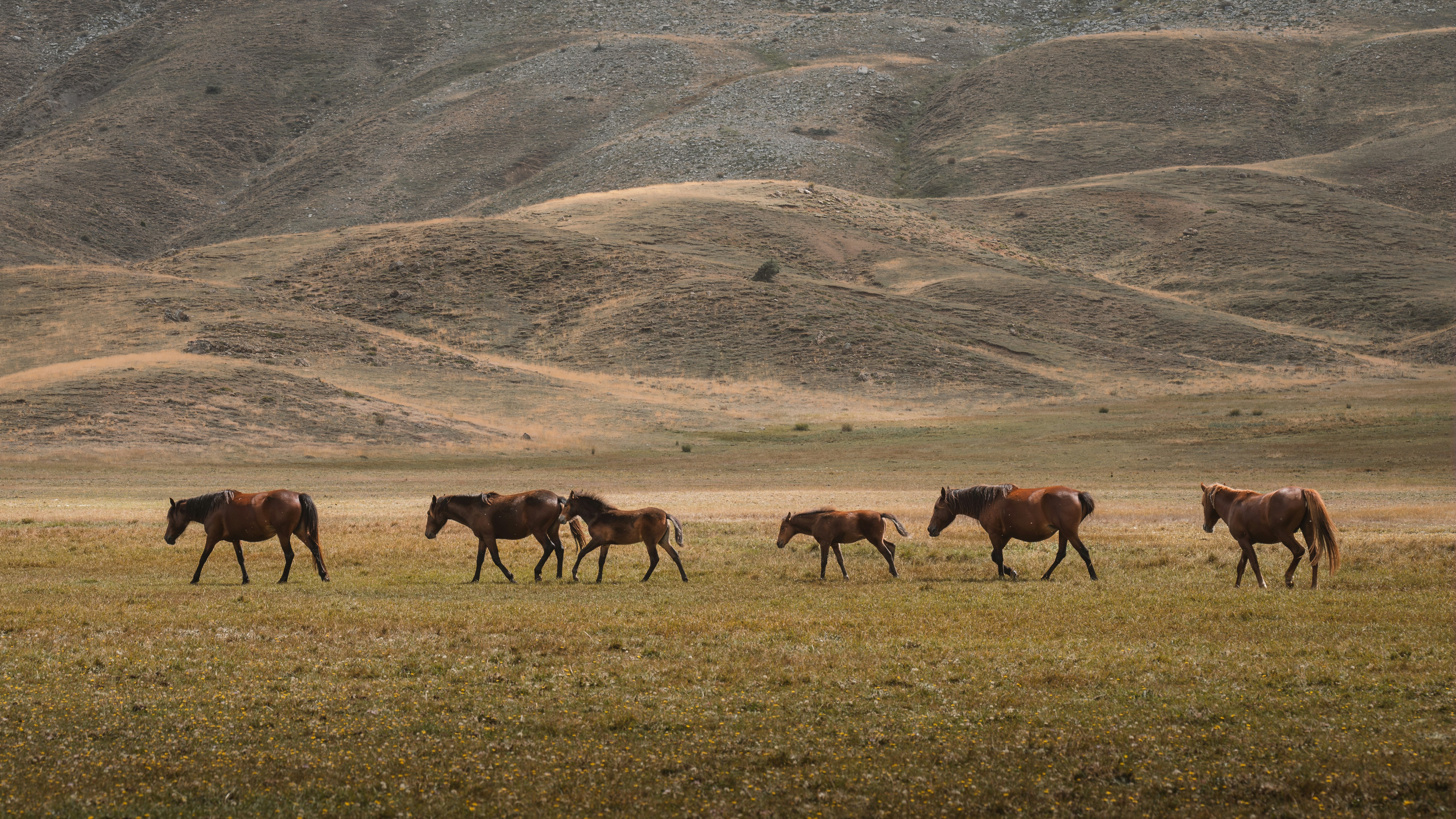 Photo by ahmetyuksek