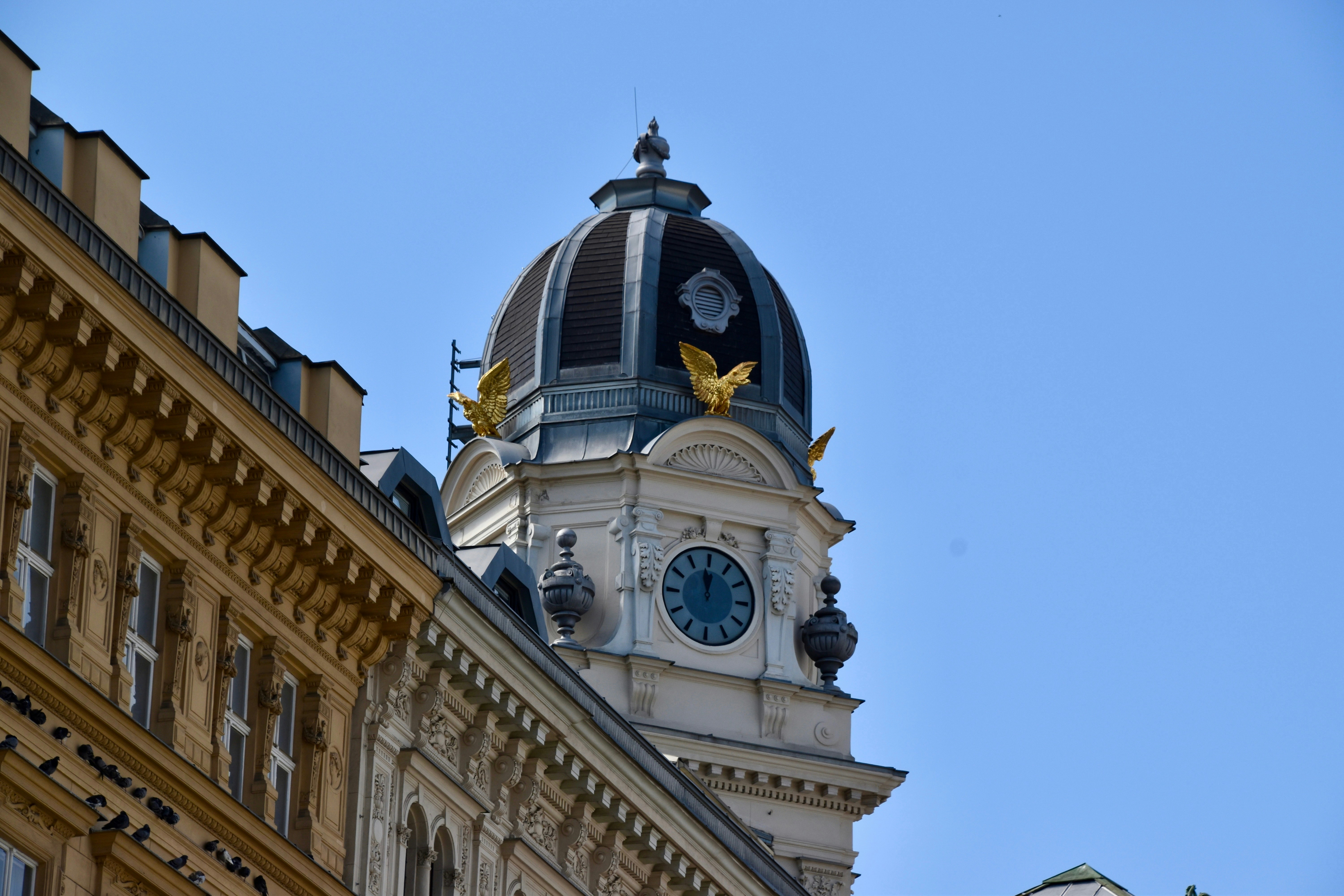 Photo by sisacreative