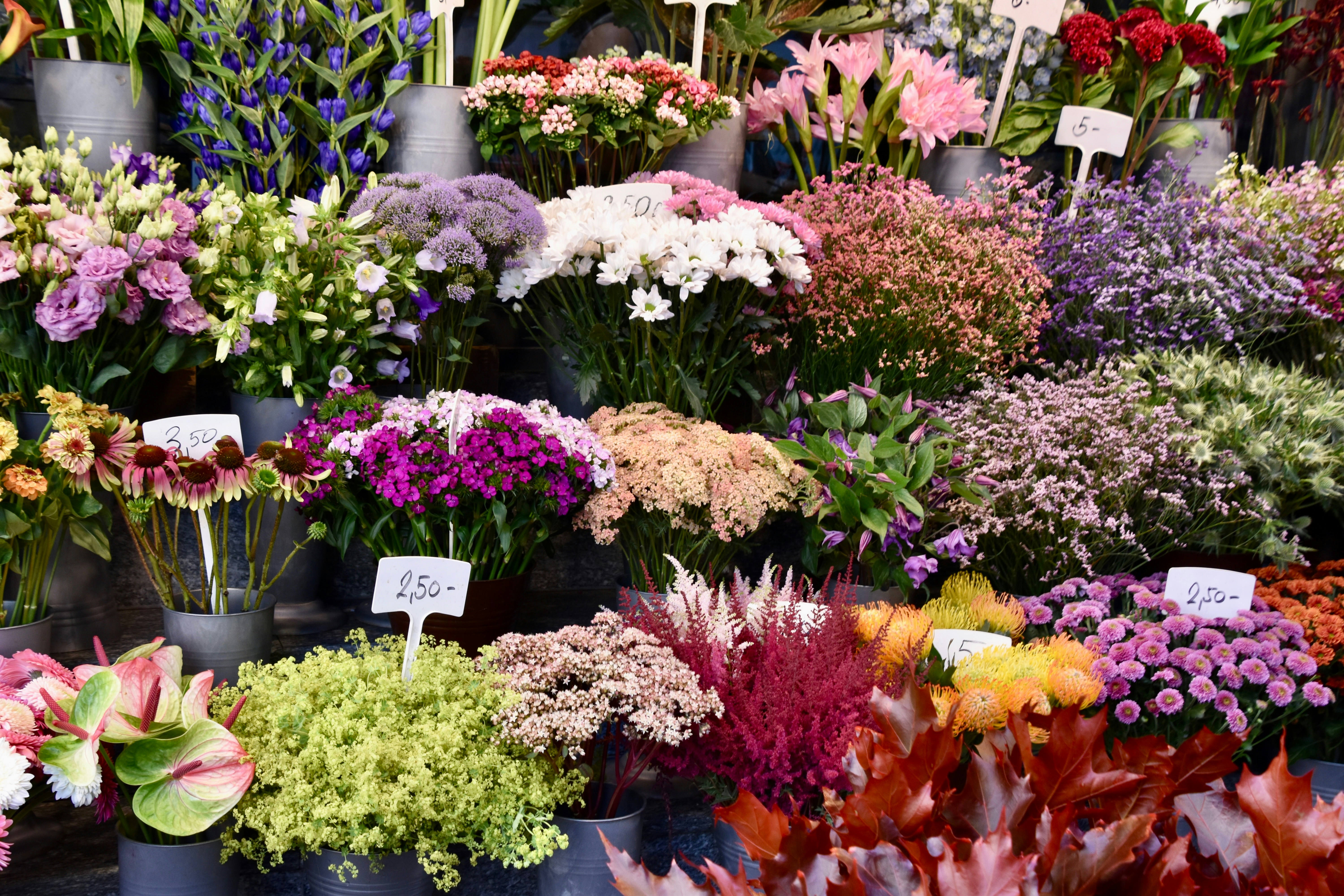 Photo by sisacreative