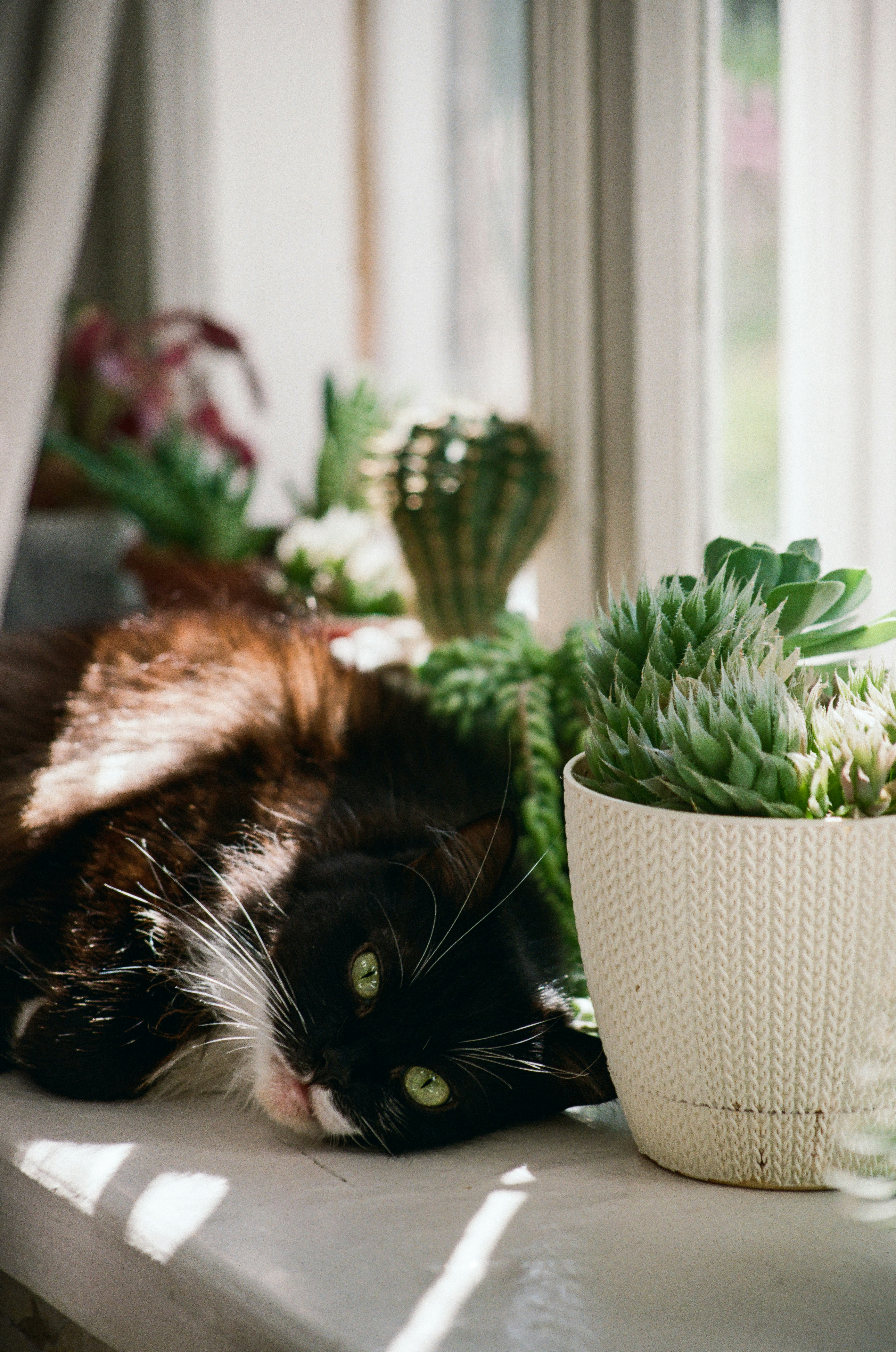 Photo by mineral_of_demon