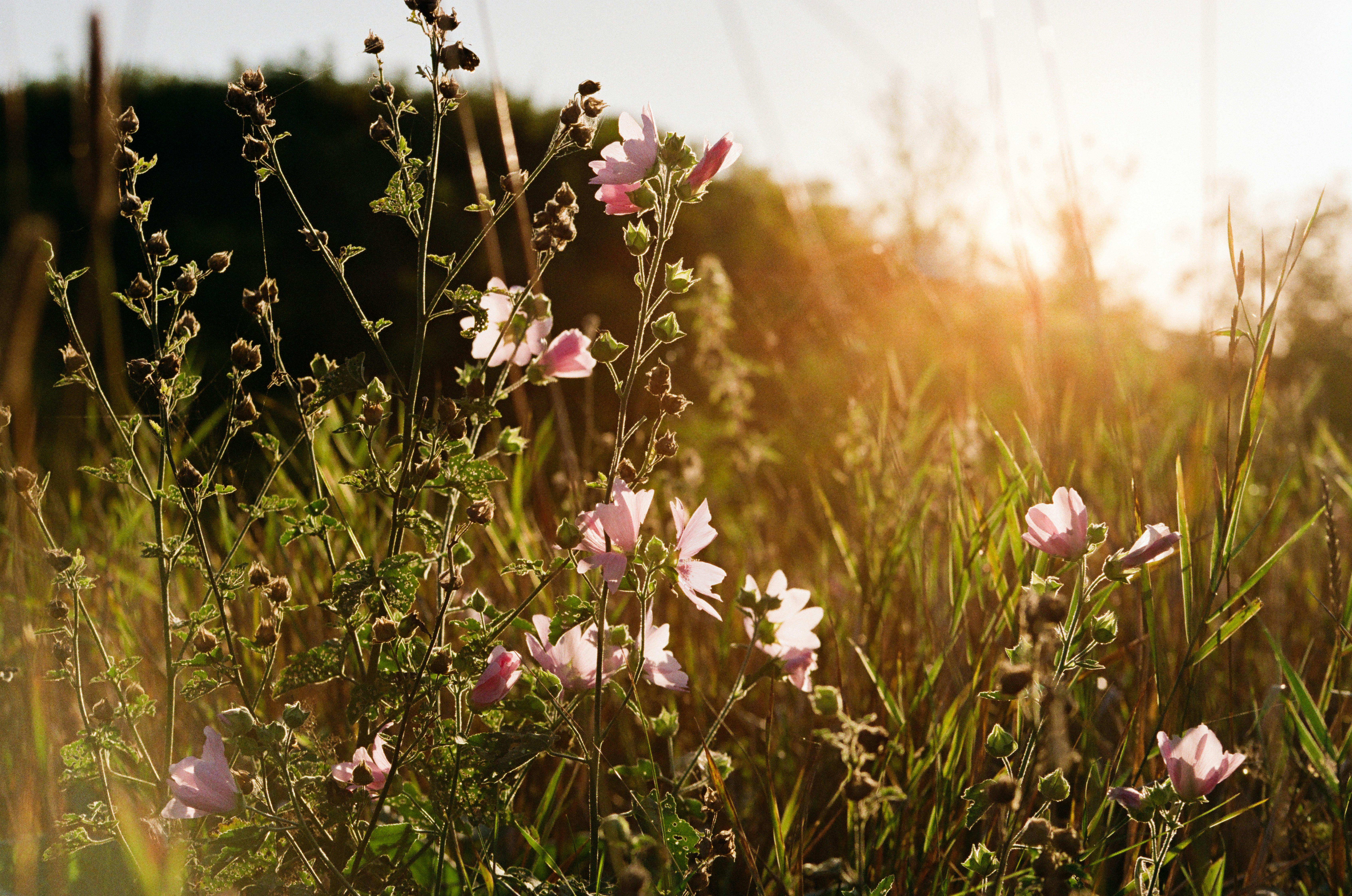 Photo by mineral_of_demon