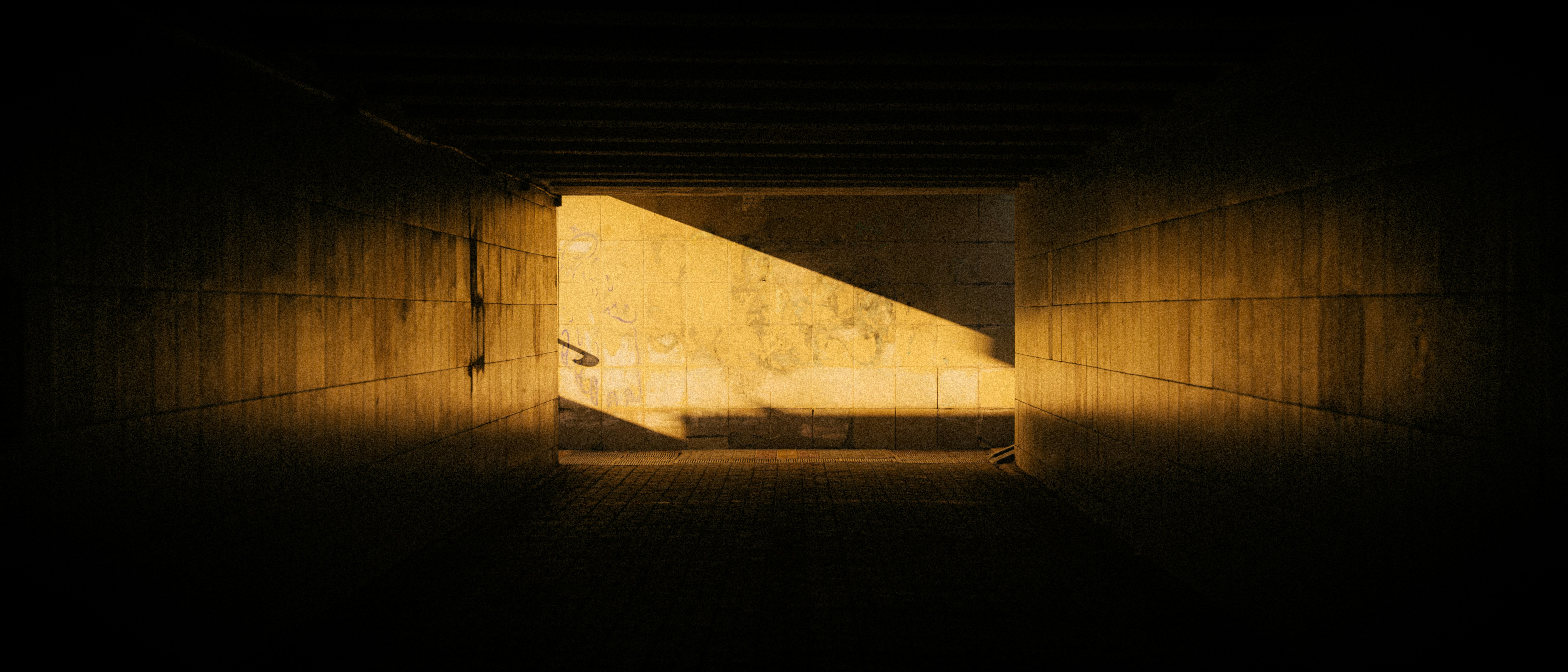 Photo by samoyedness