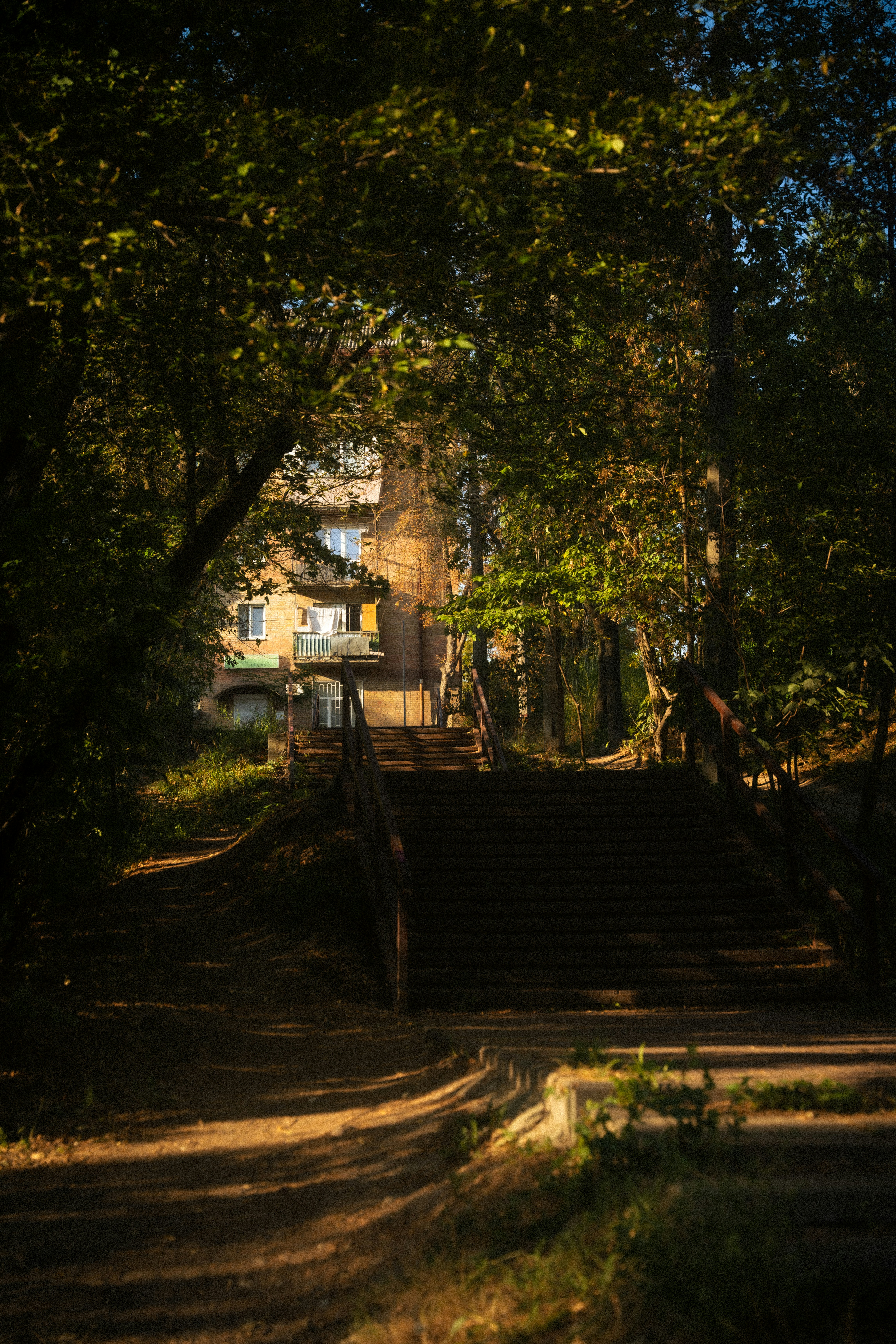 Photo by samoyedness