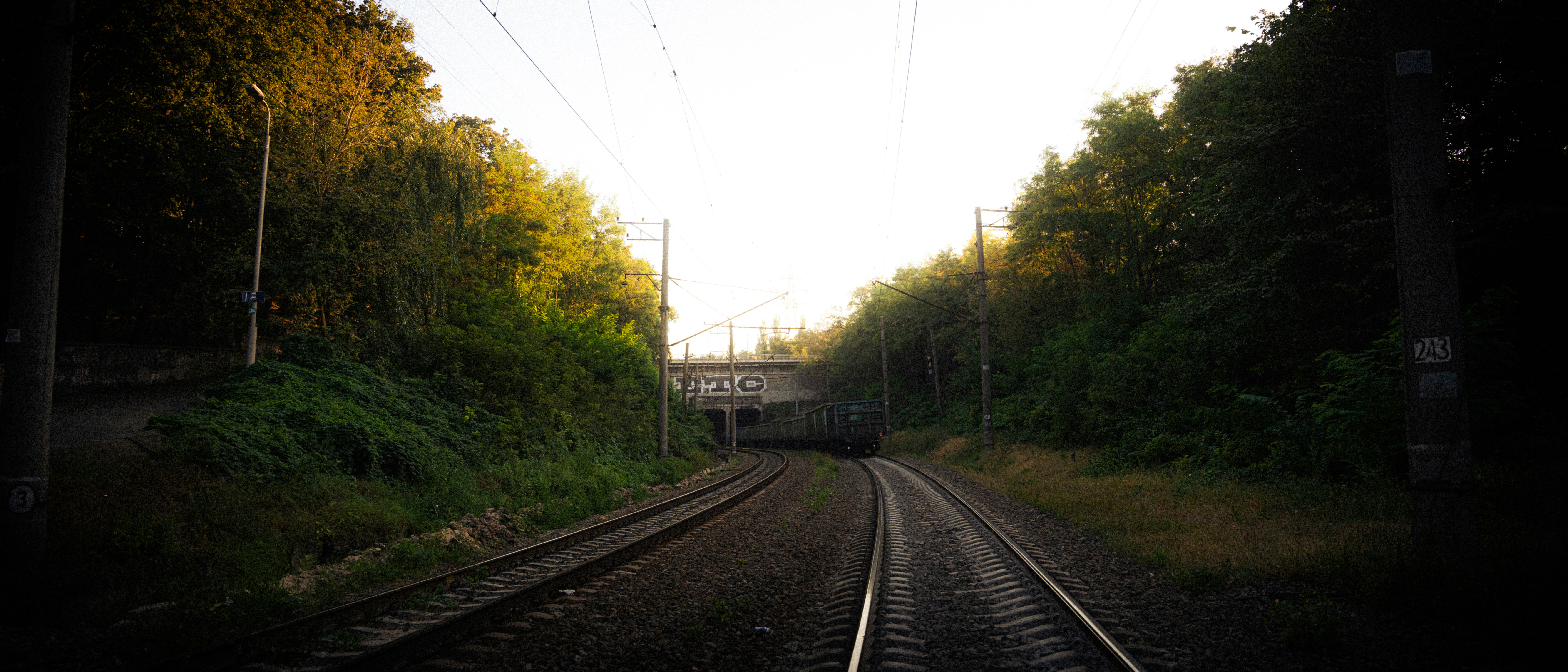 Photo by samoyedness