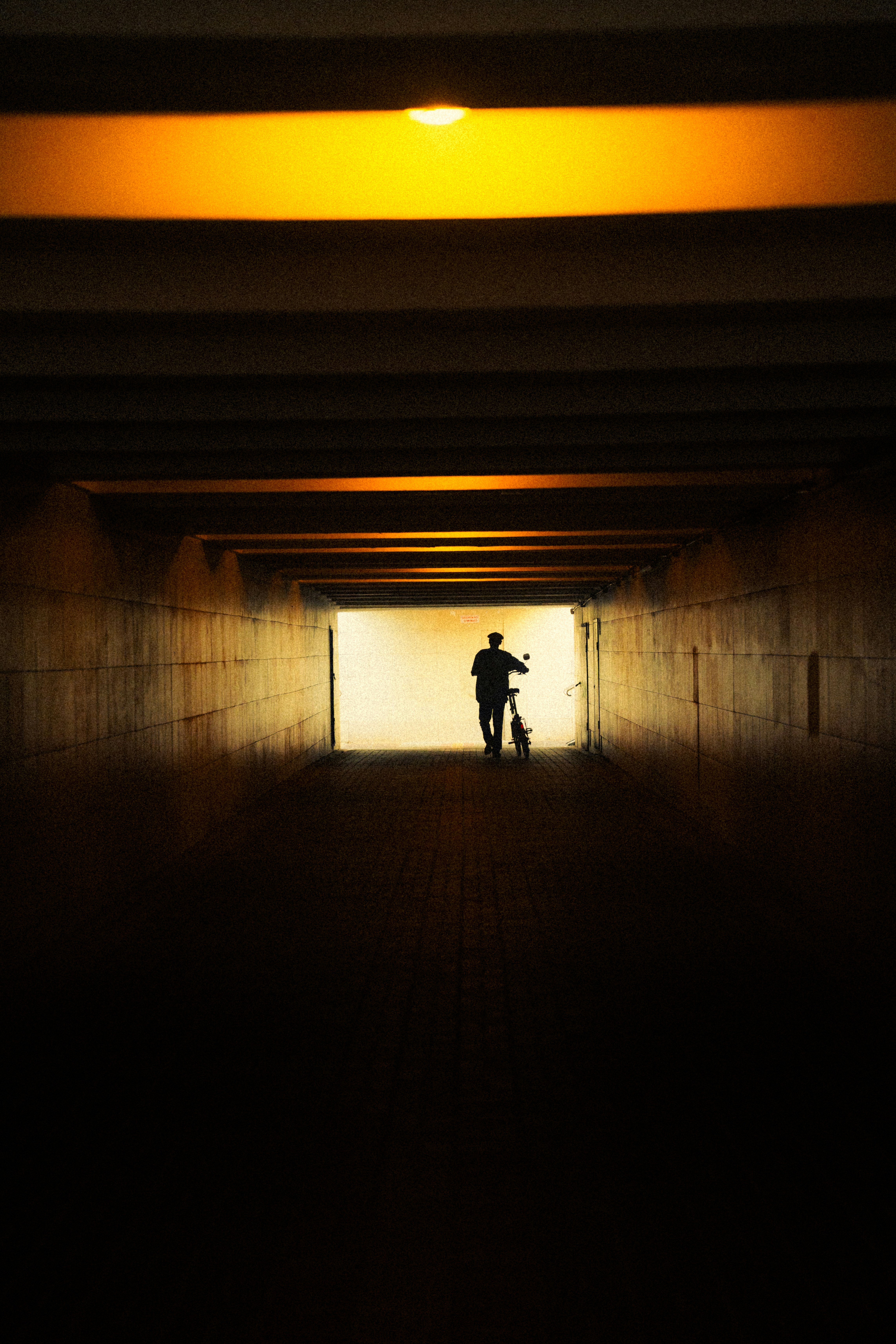 Photo by samoyedness