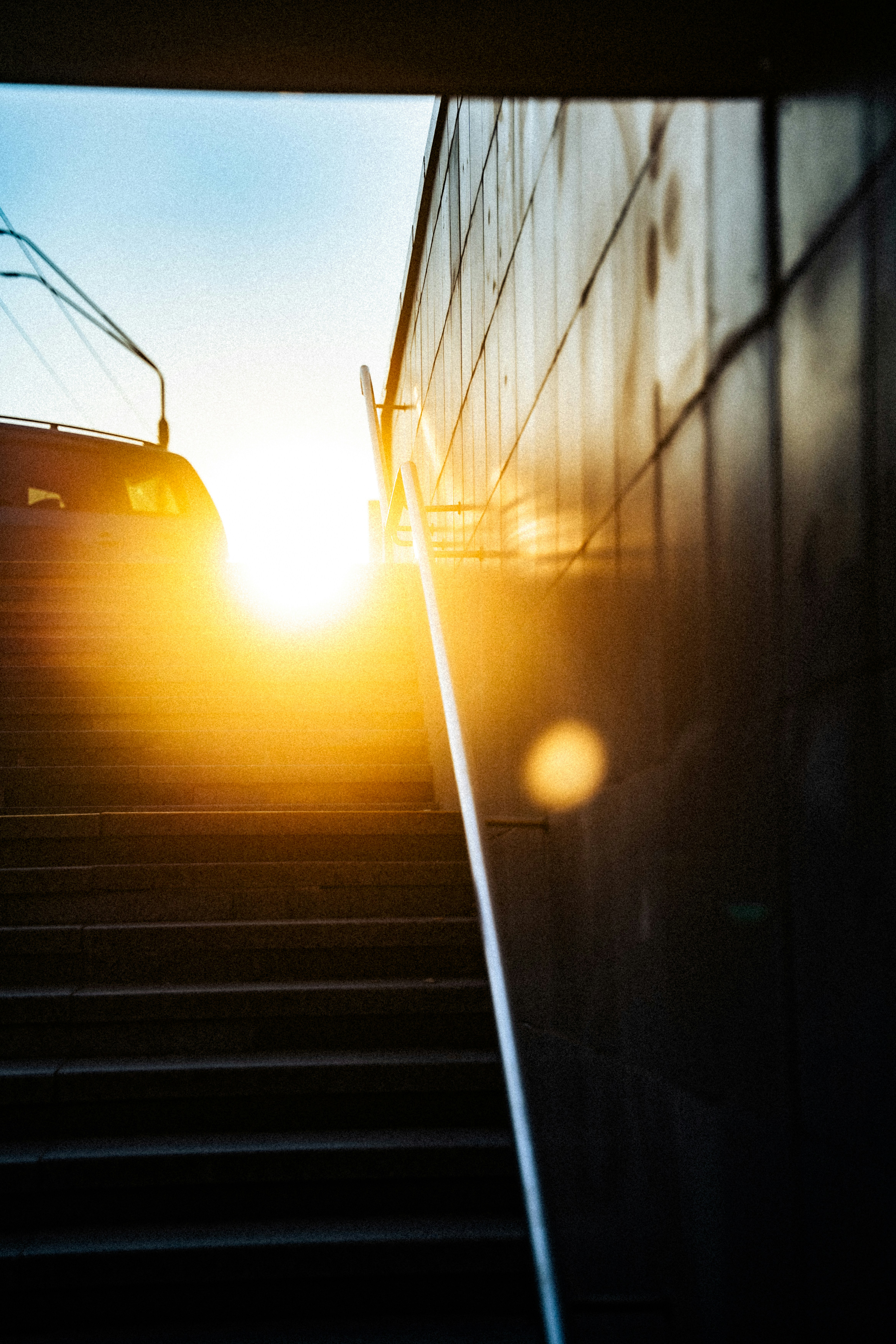 Photo by samoyedness