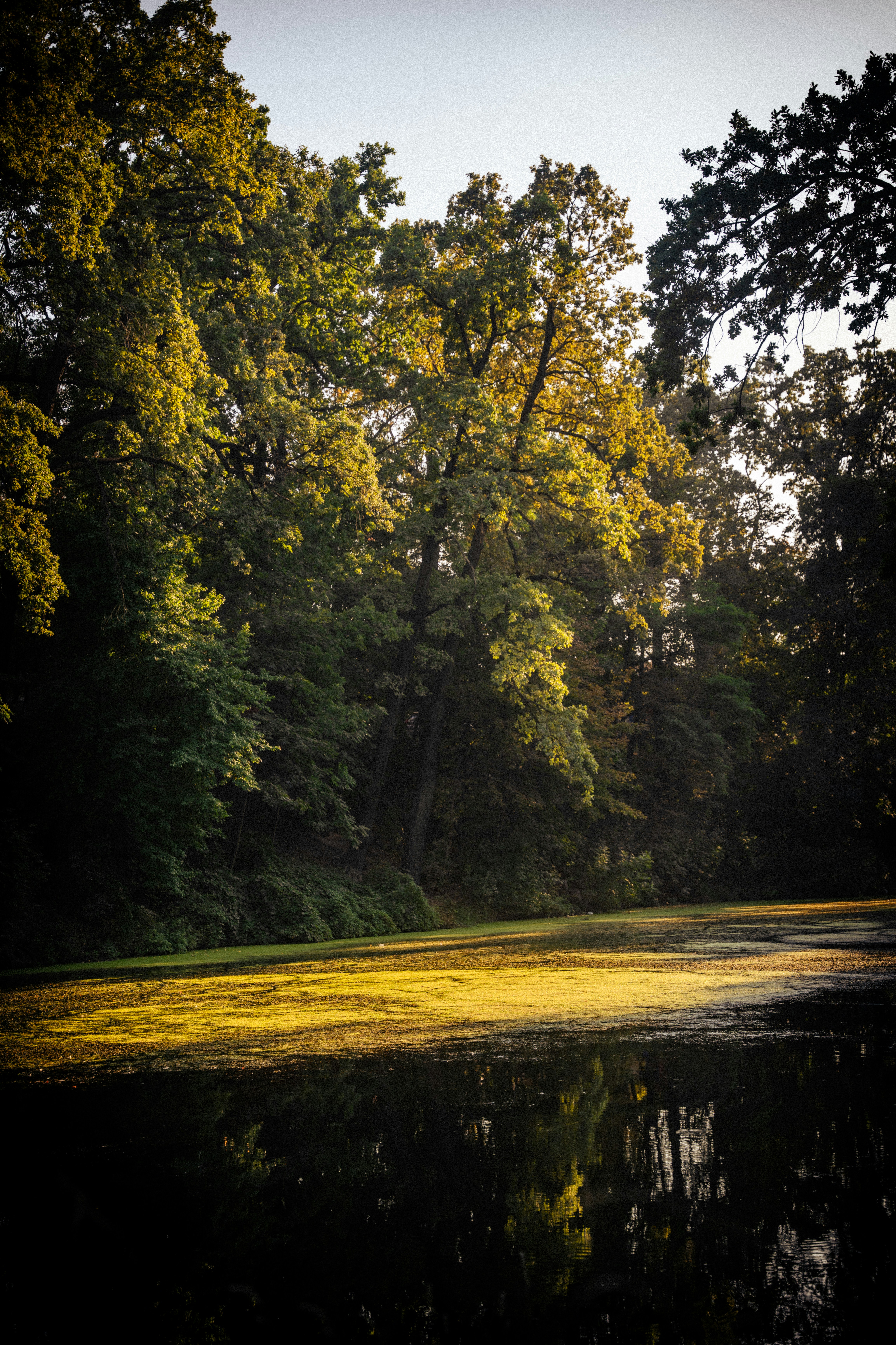 Photo by samoyedness