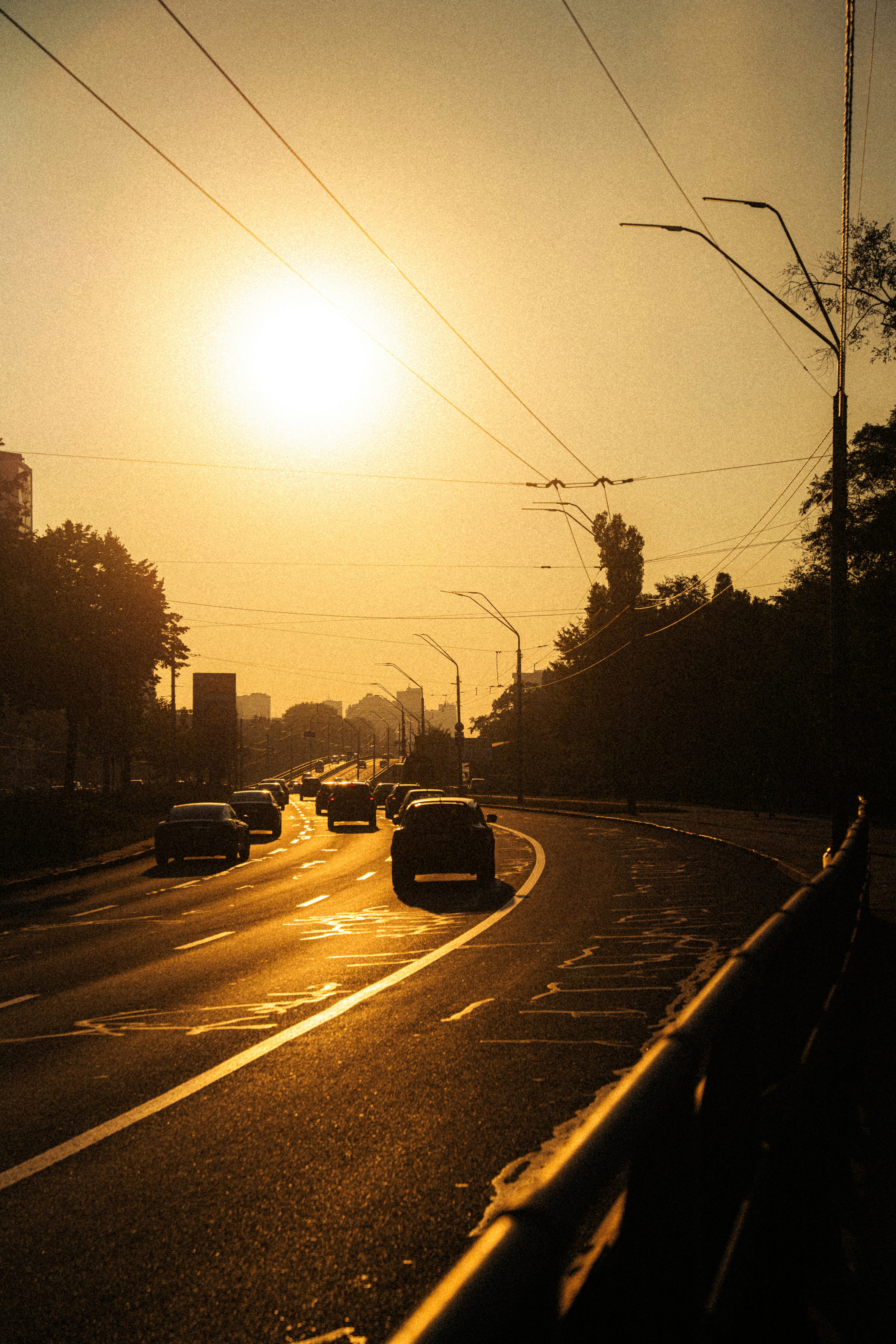 Photo by samoyedness