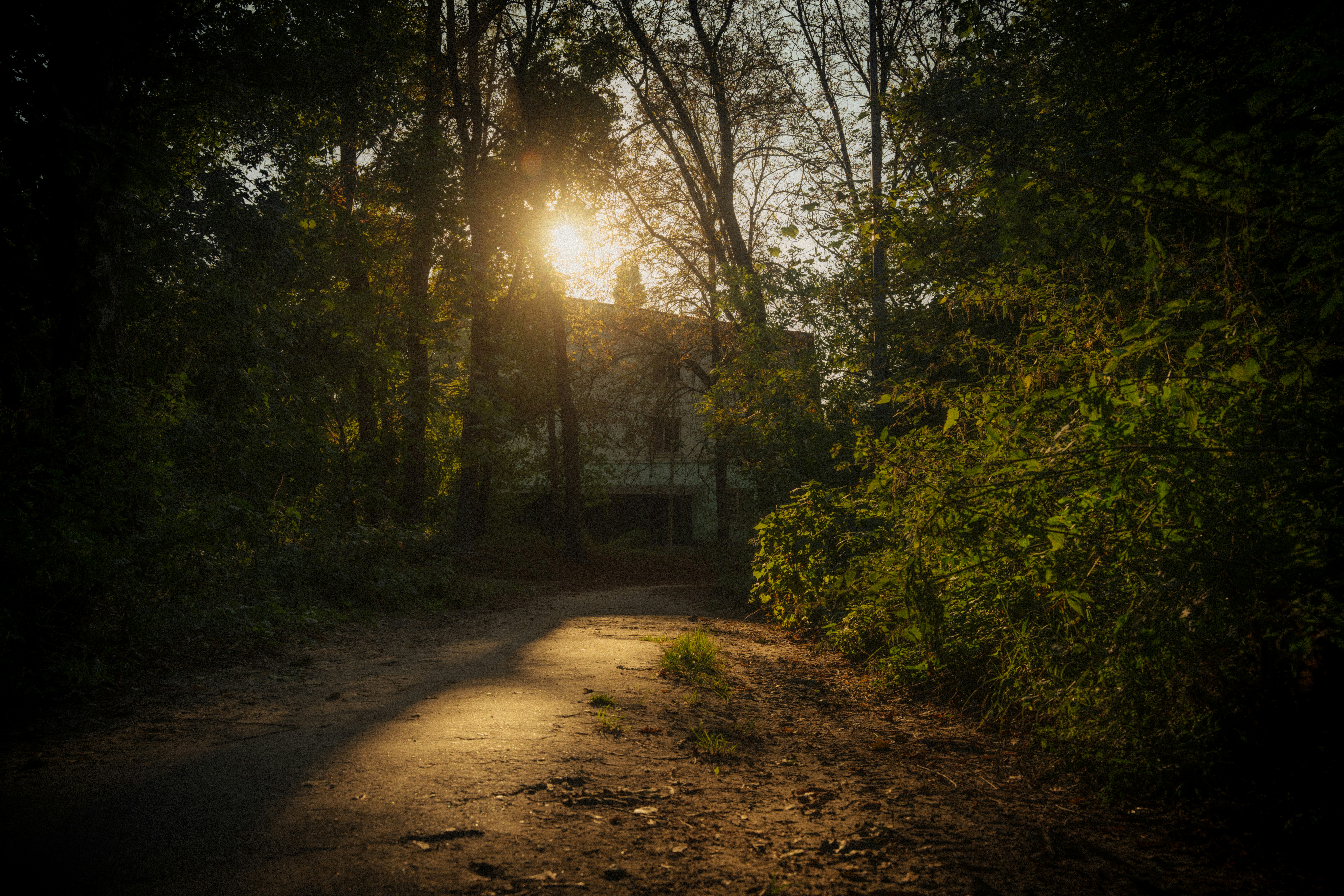 Photo by samoyedness