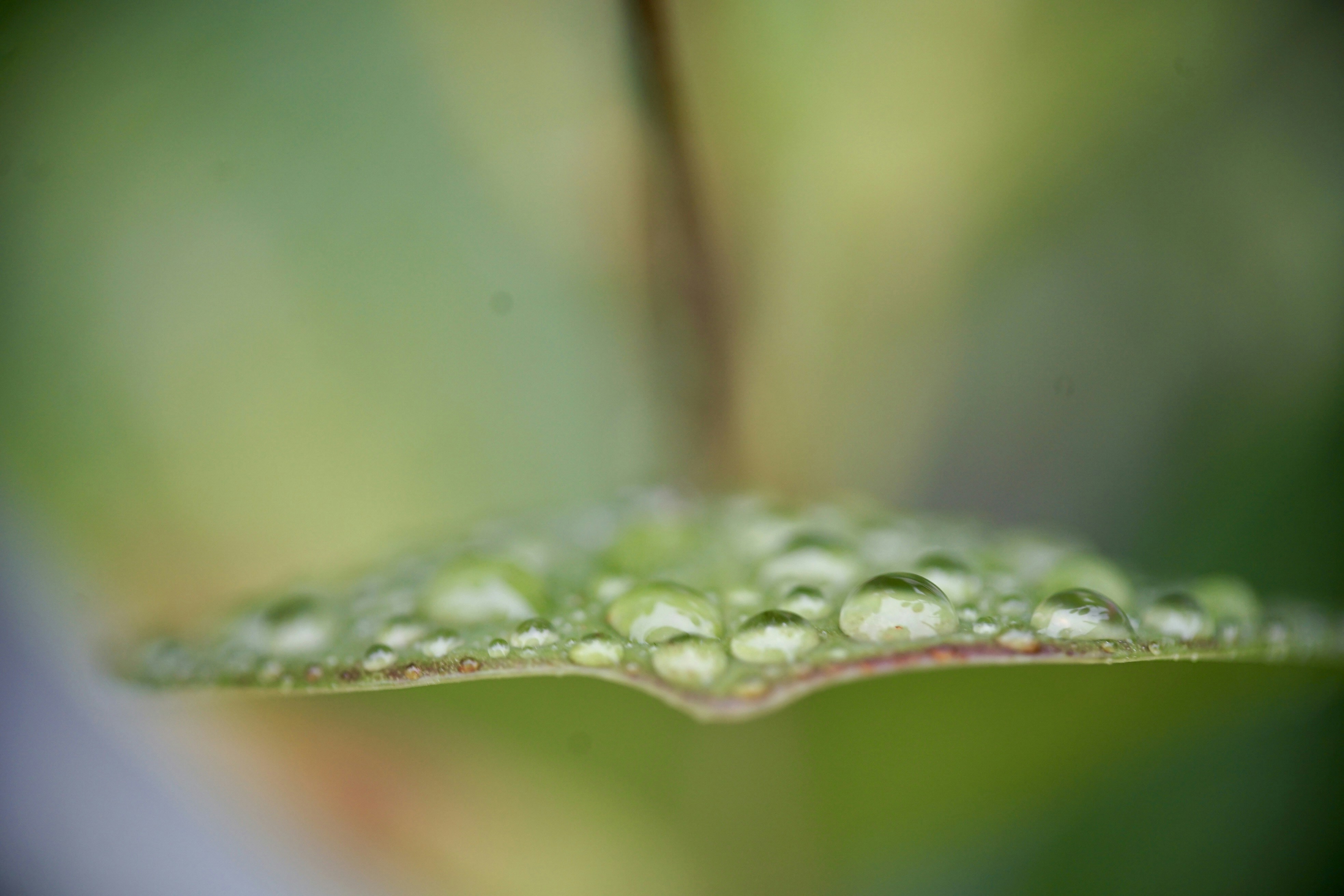 Photo by hannahslensphotography