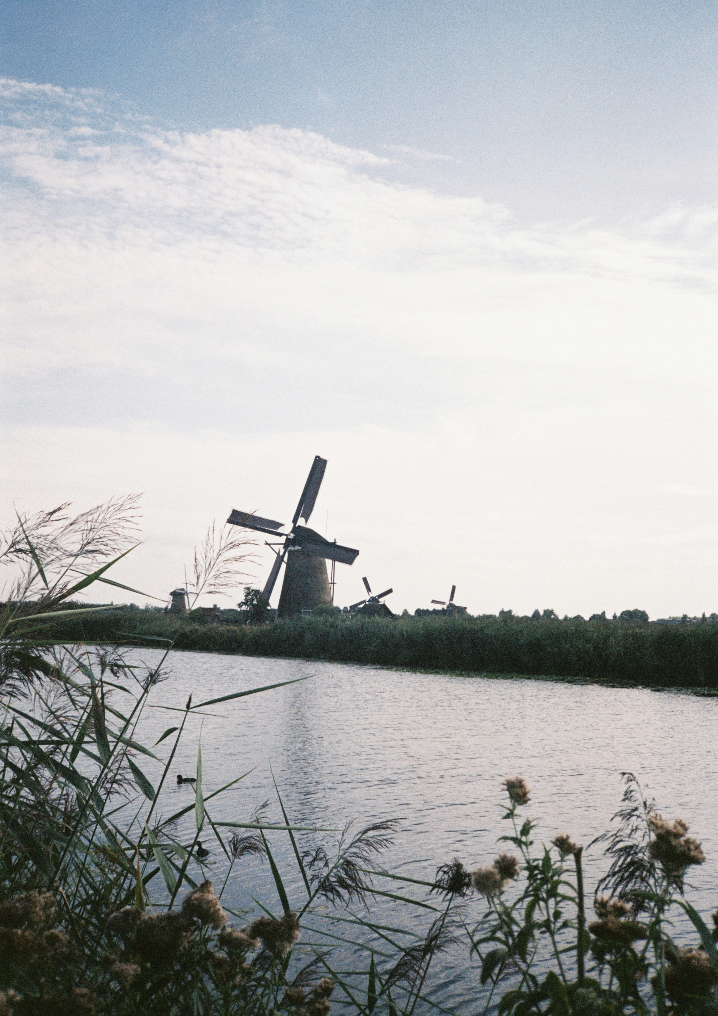 緑豊かな野原の隣にある川の上にある風車