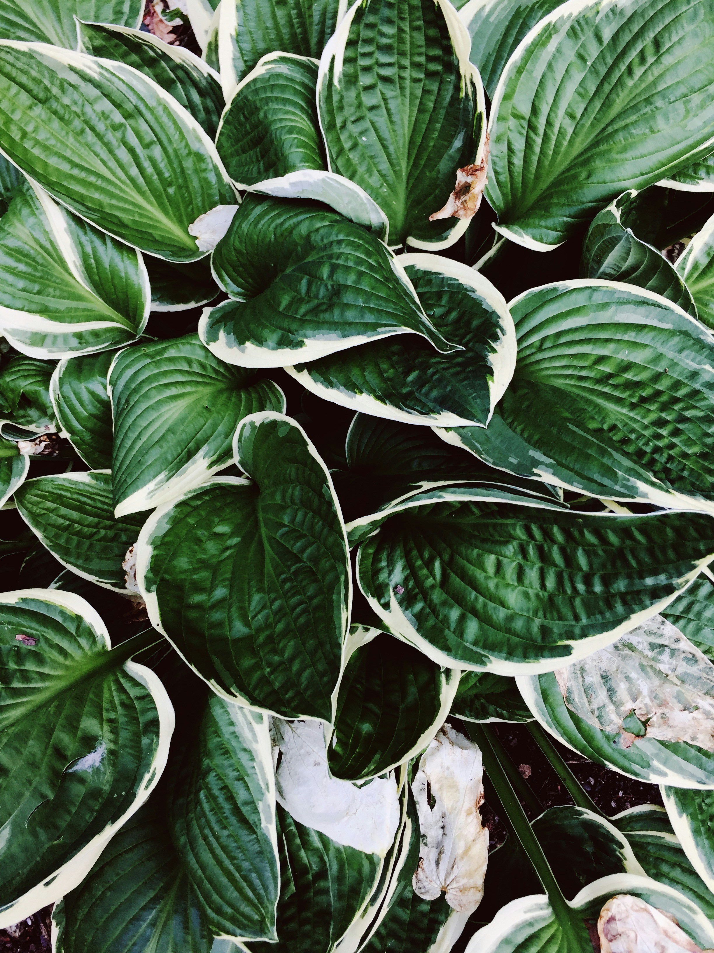 Photo by alexistsegba