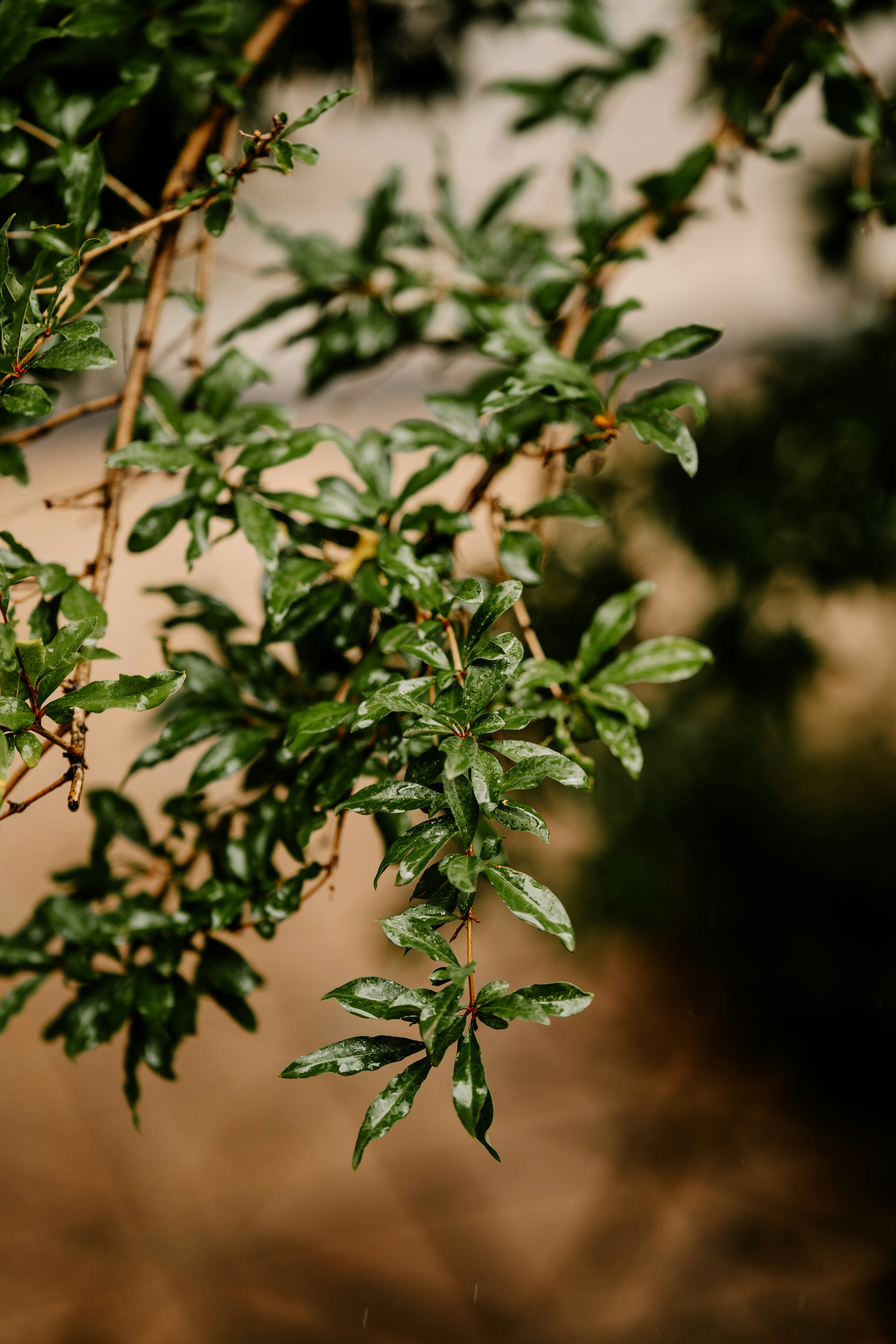 Photo by hameedtalebi