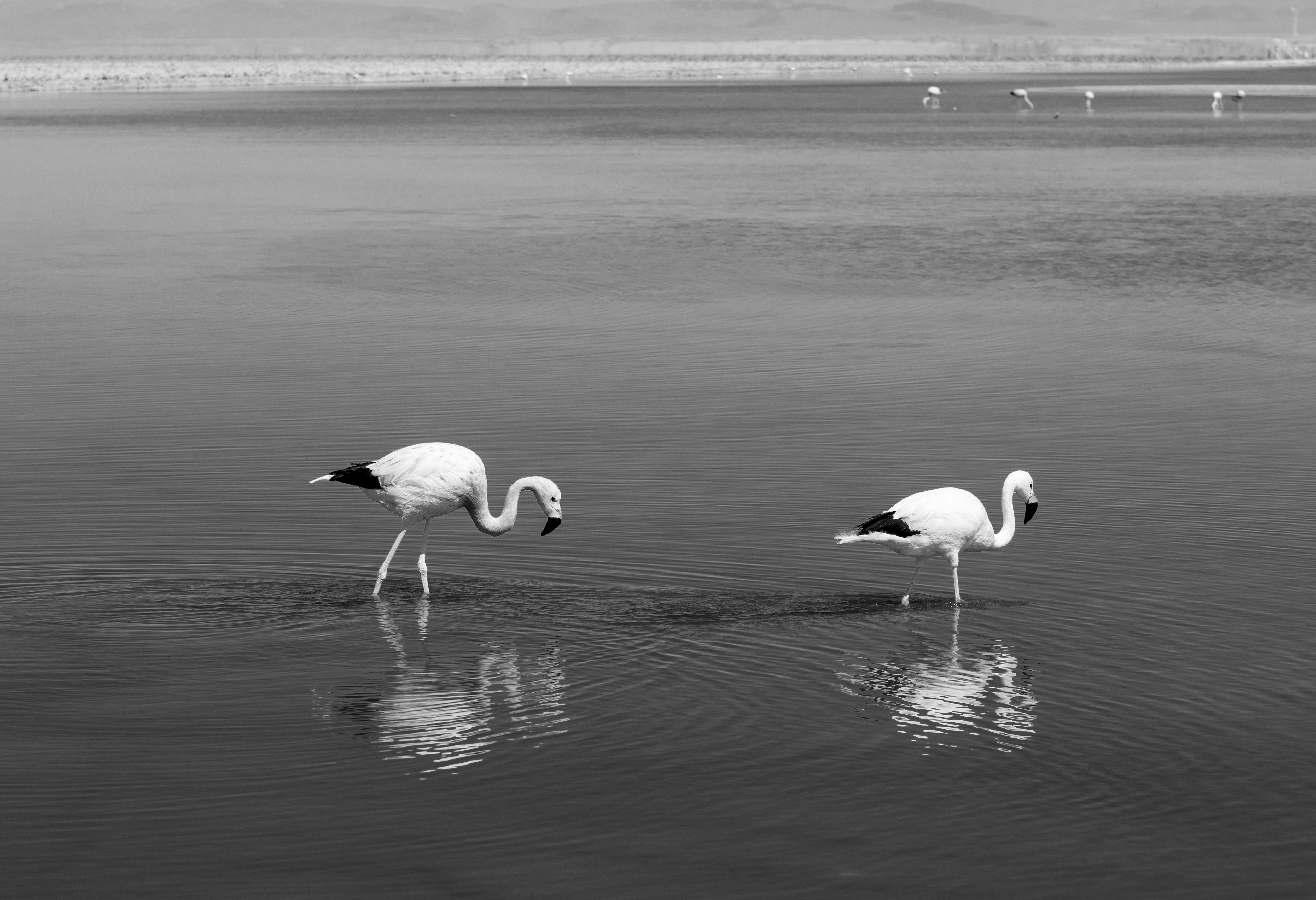 Photo by viajeenparacaidas