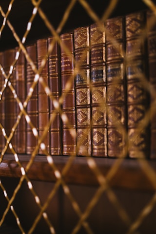 A row of books behind a chain link fence