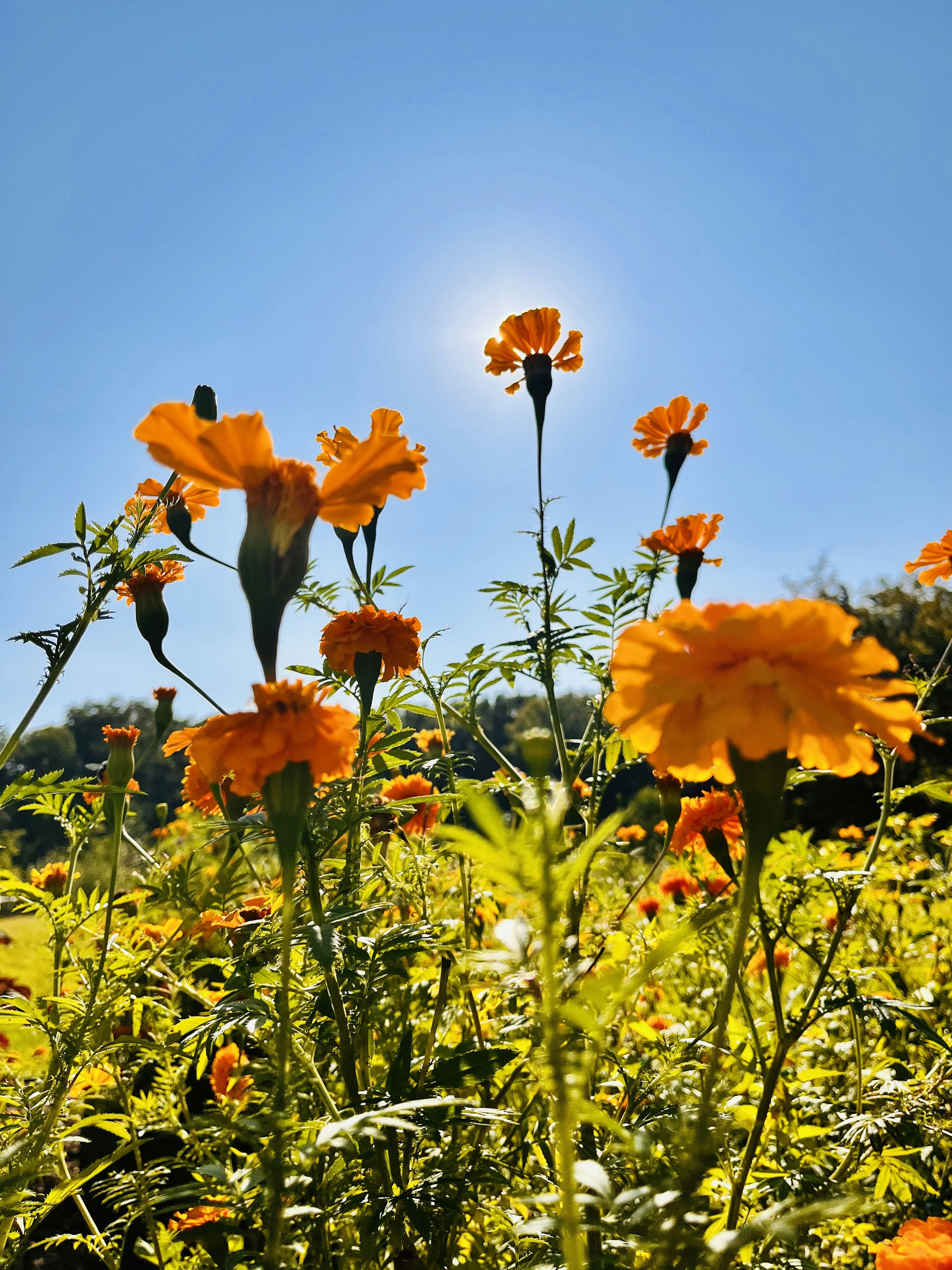 Photo by amverhoeven