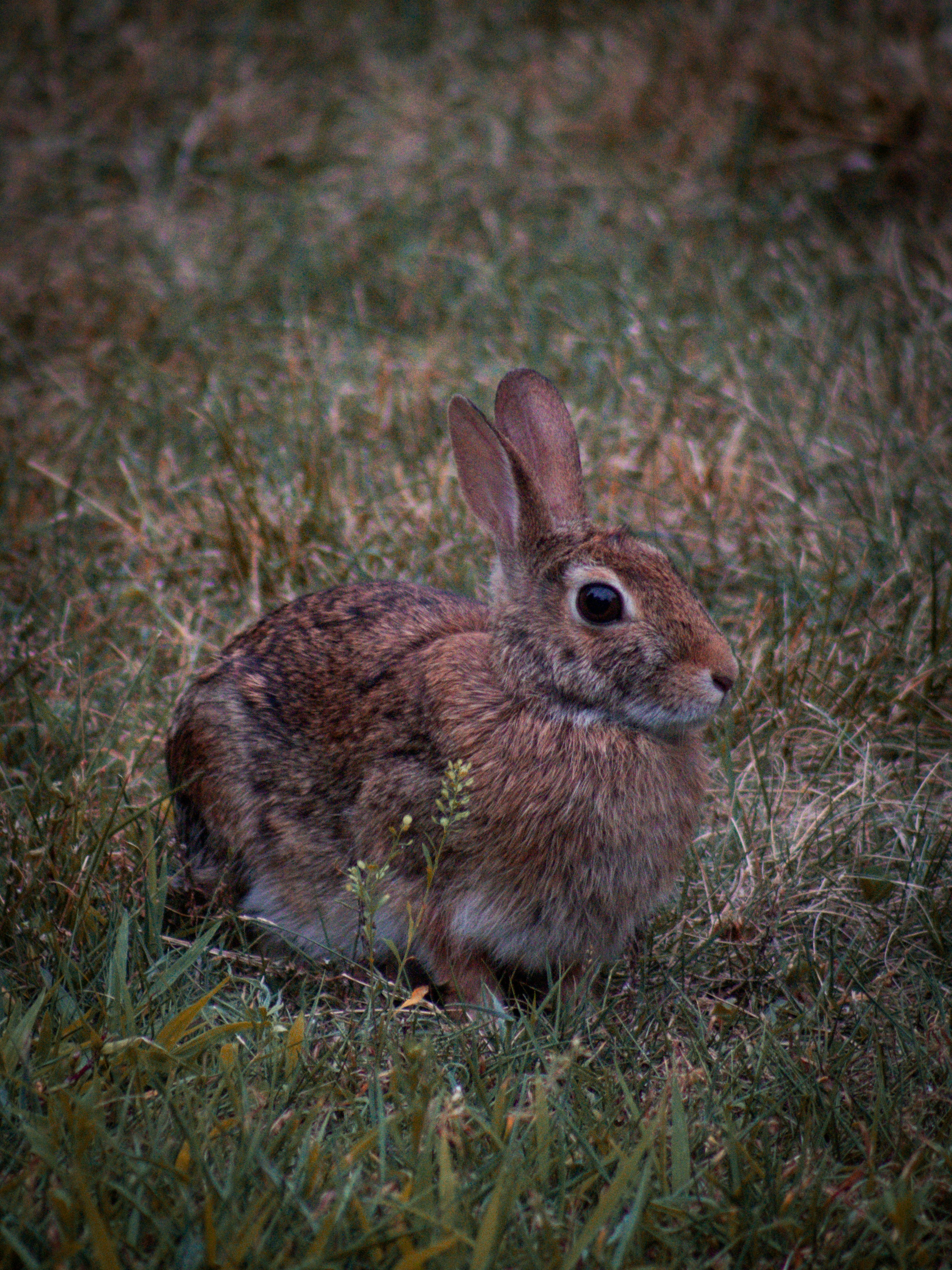 Photo by charlysey278