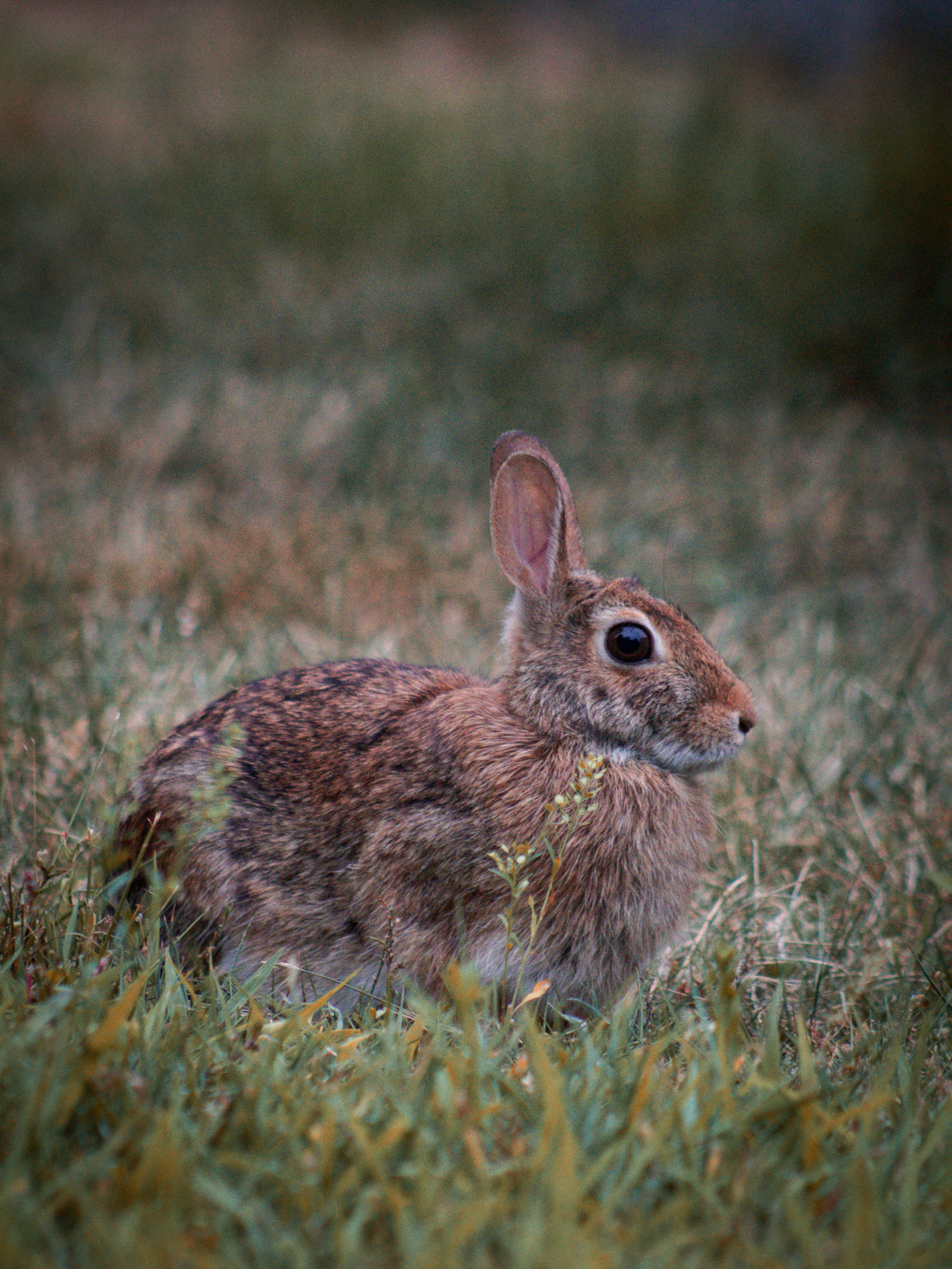 Photo by charlysey278