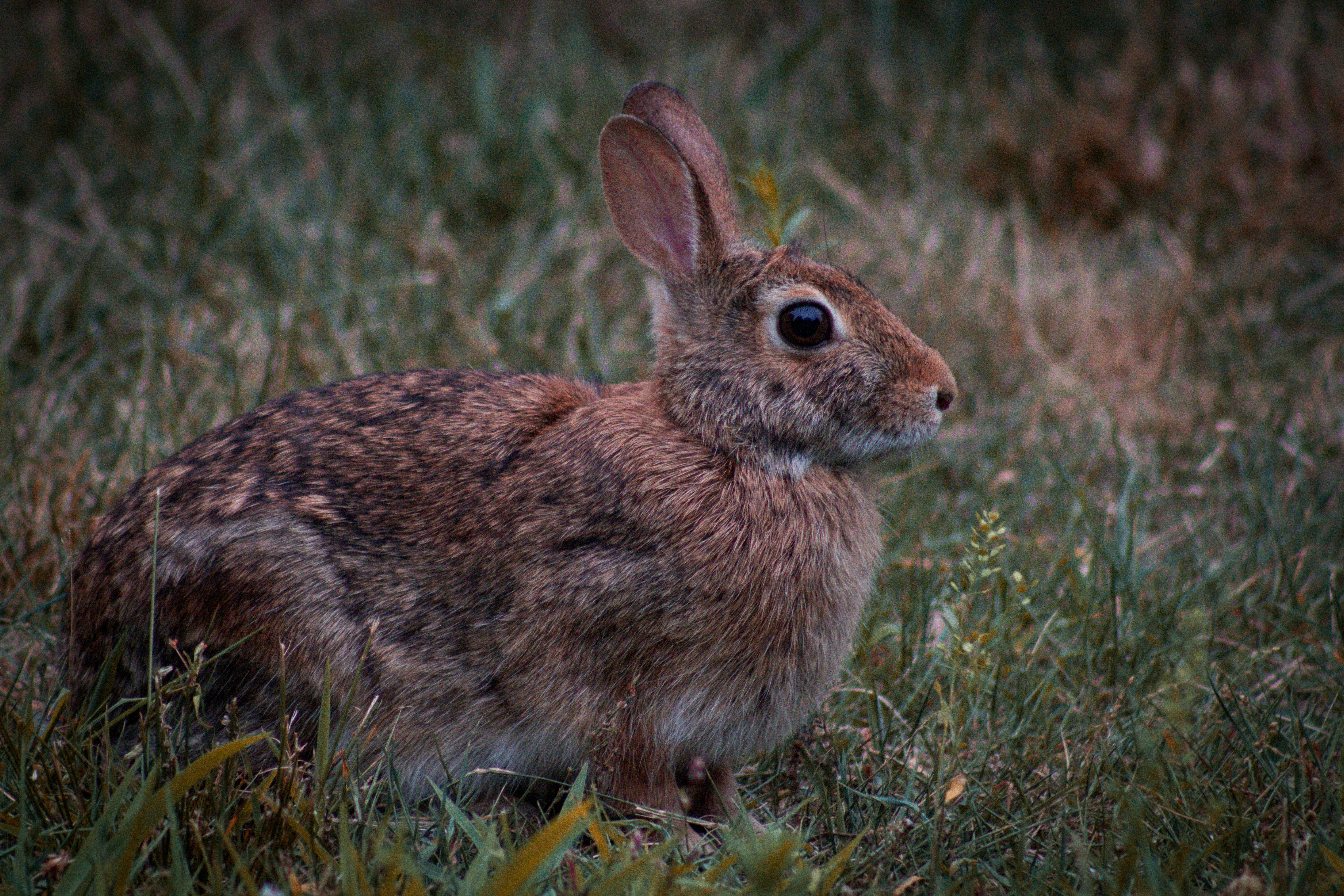 Photo by charlysey278