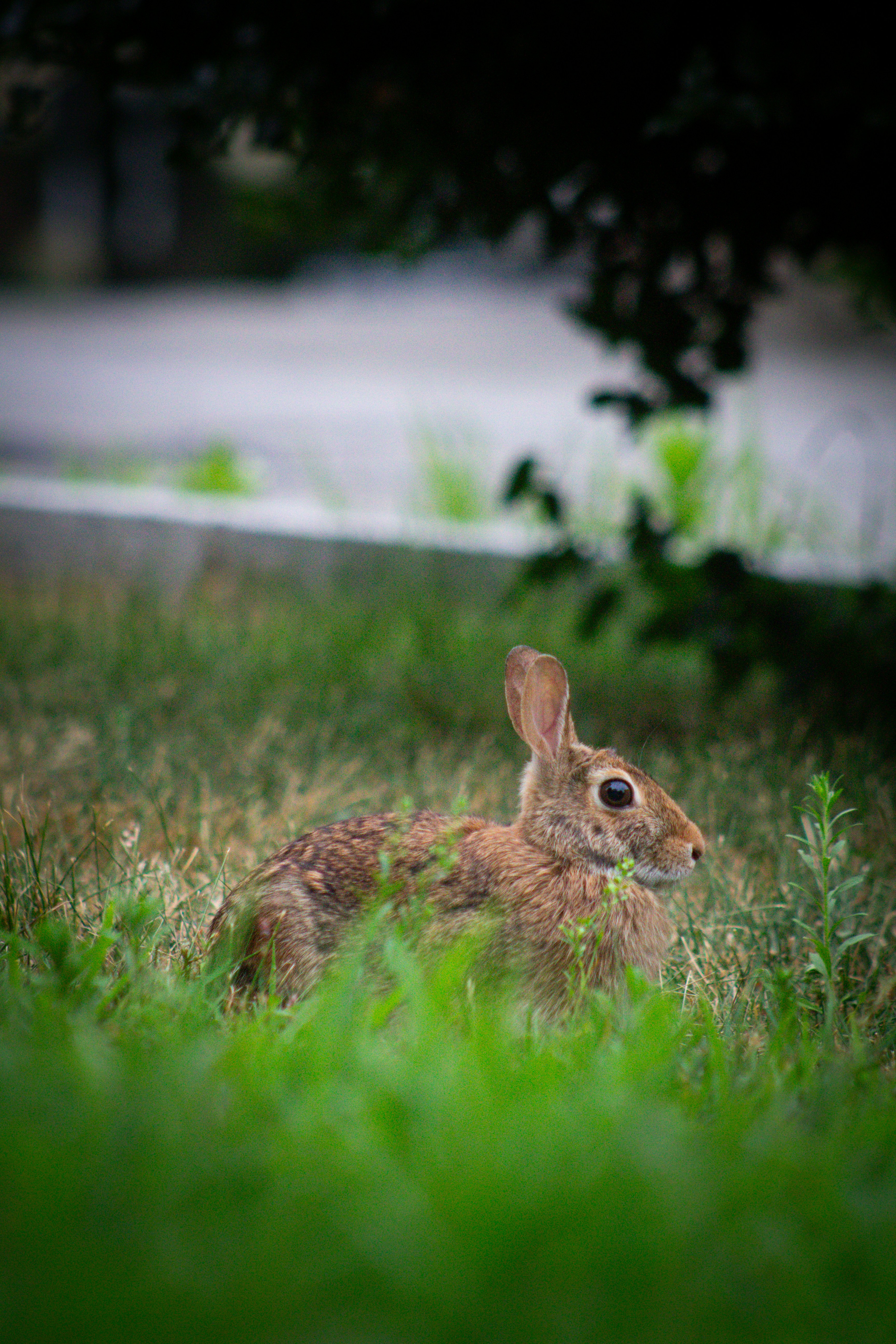 Photo by charlysey278