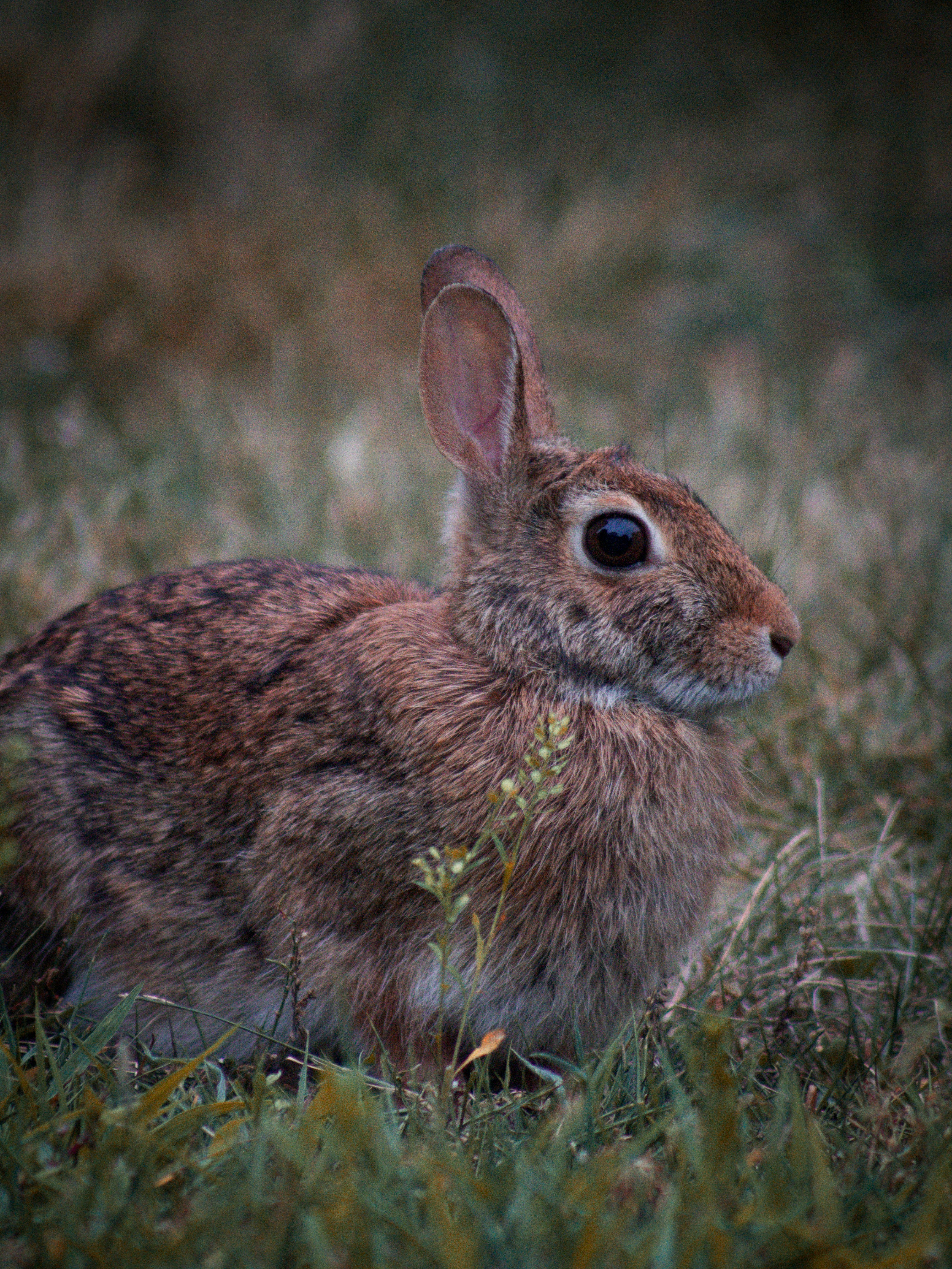 Photo by charlysey278