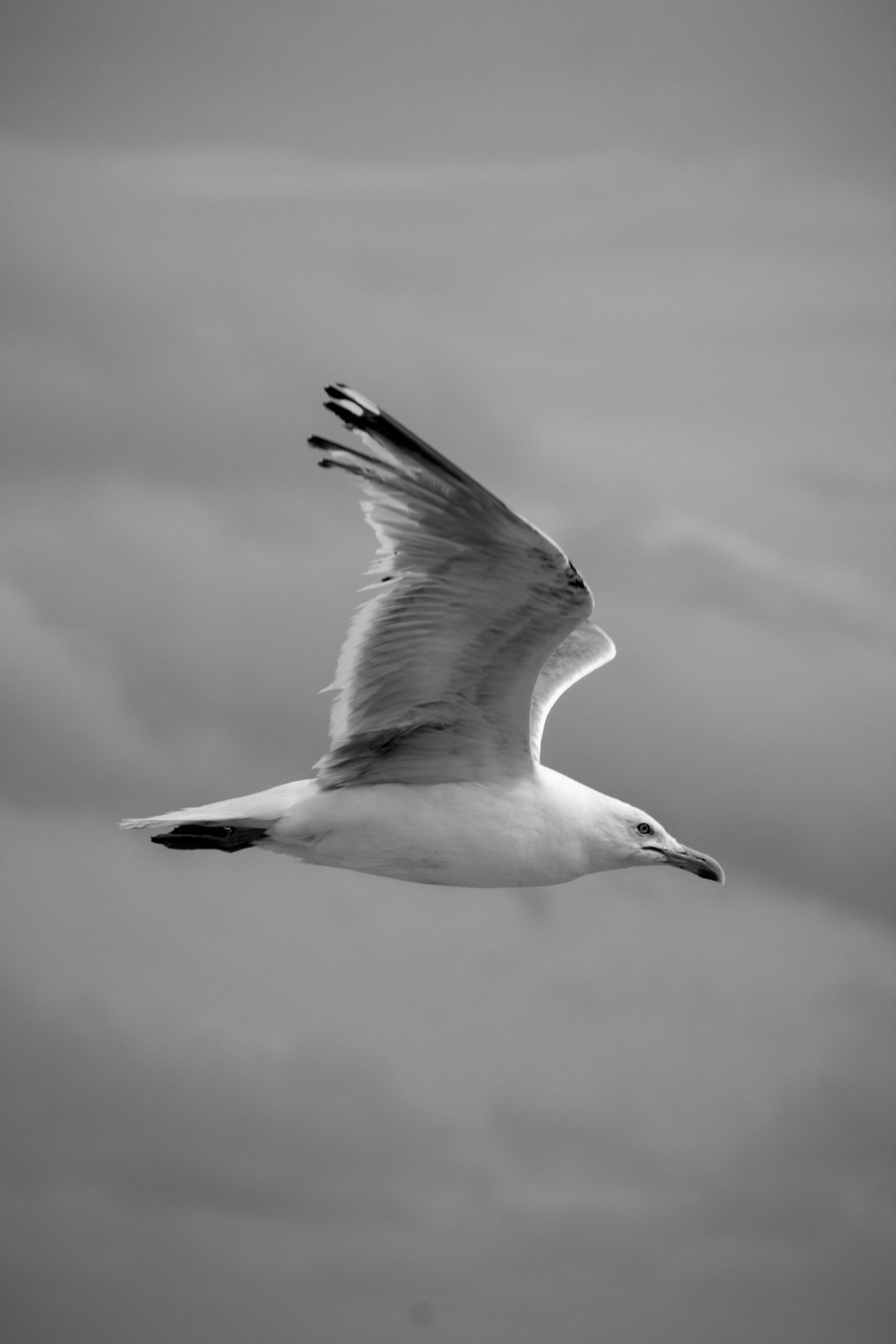 Photo by charlysey278