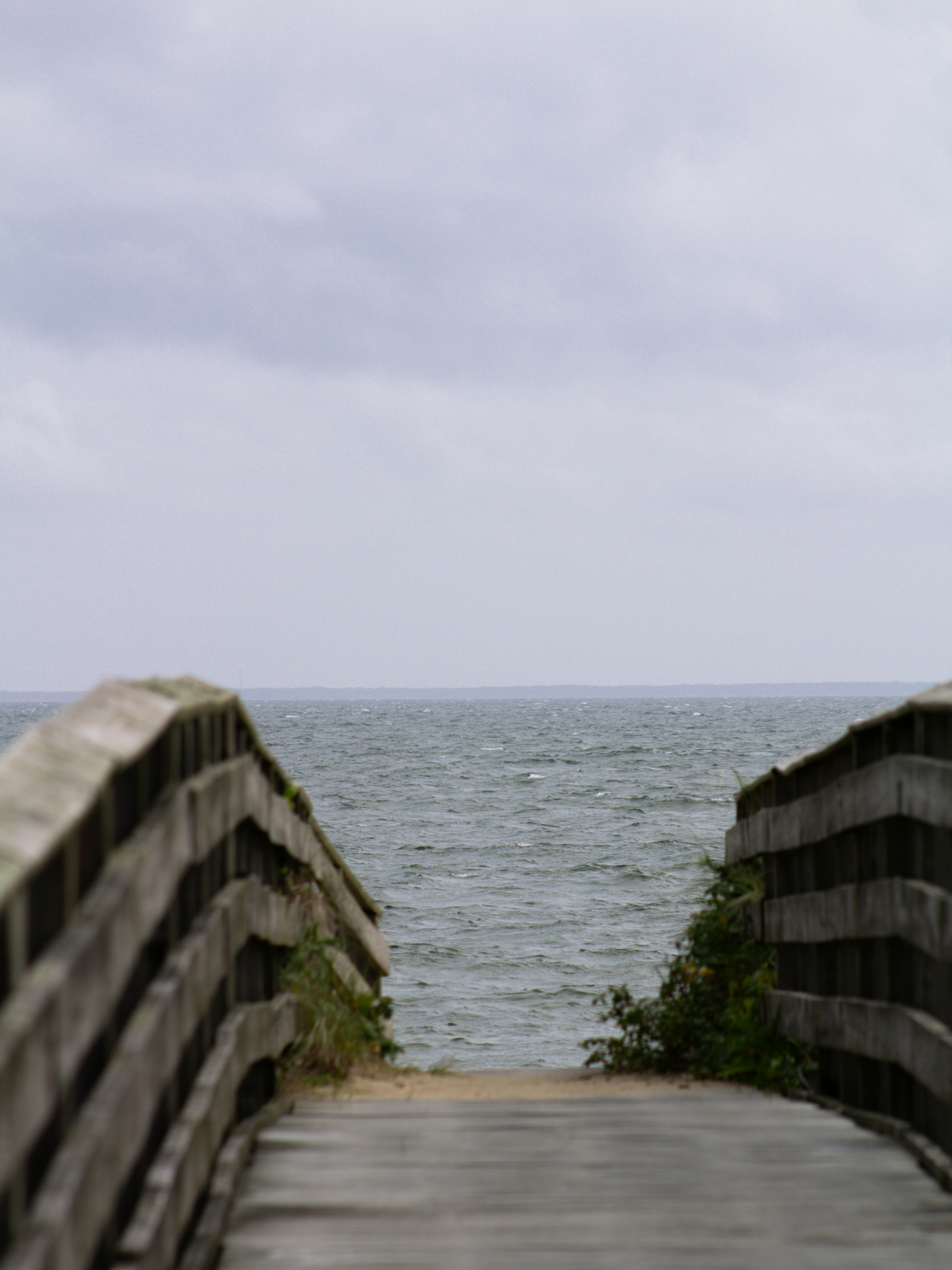 Photo by charlysey278