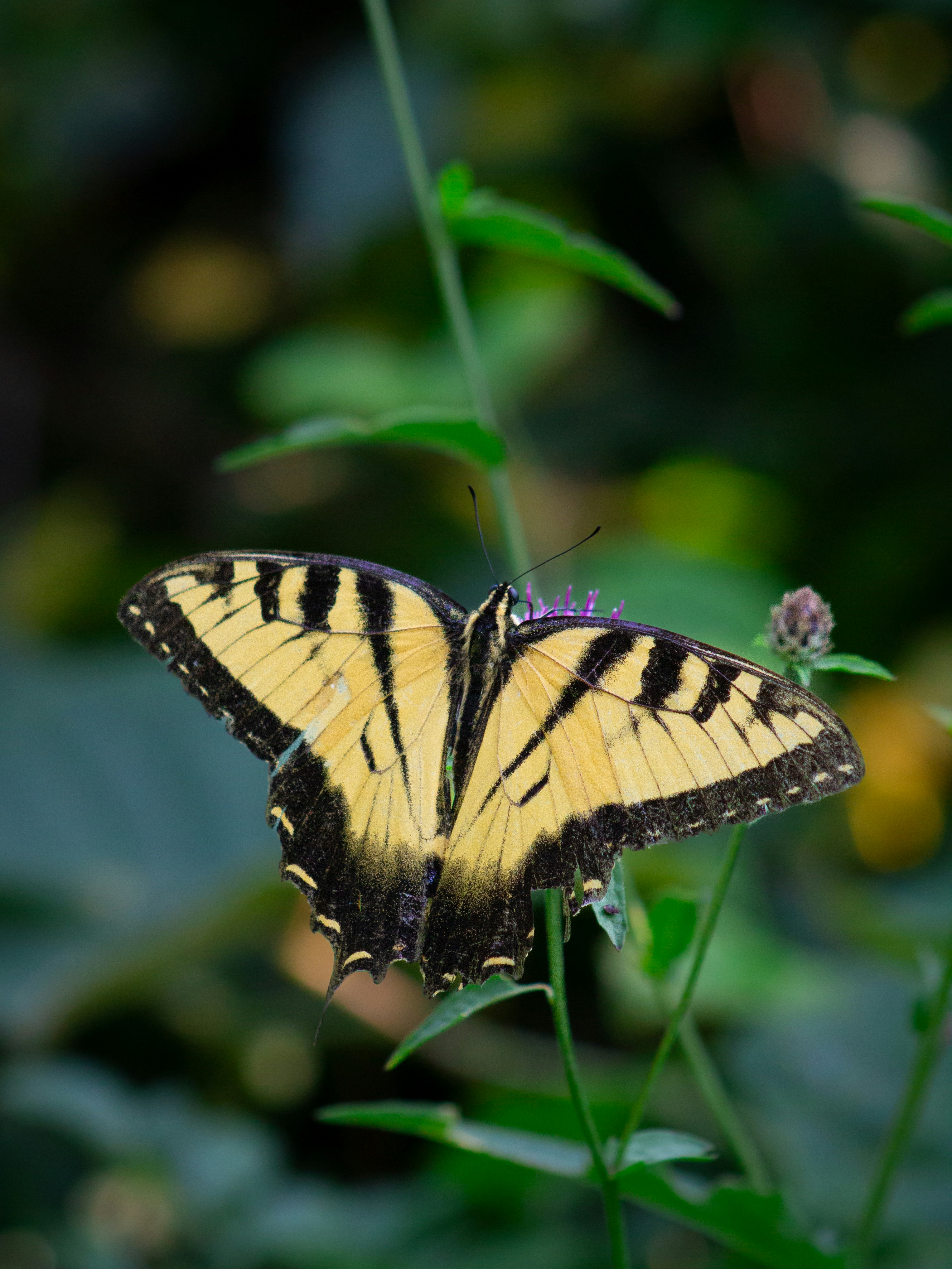 Photo by charlysey278