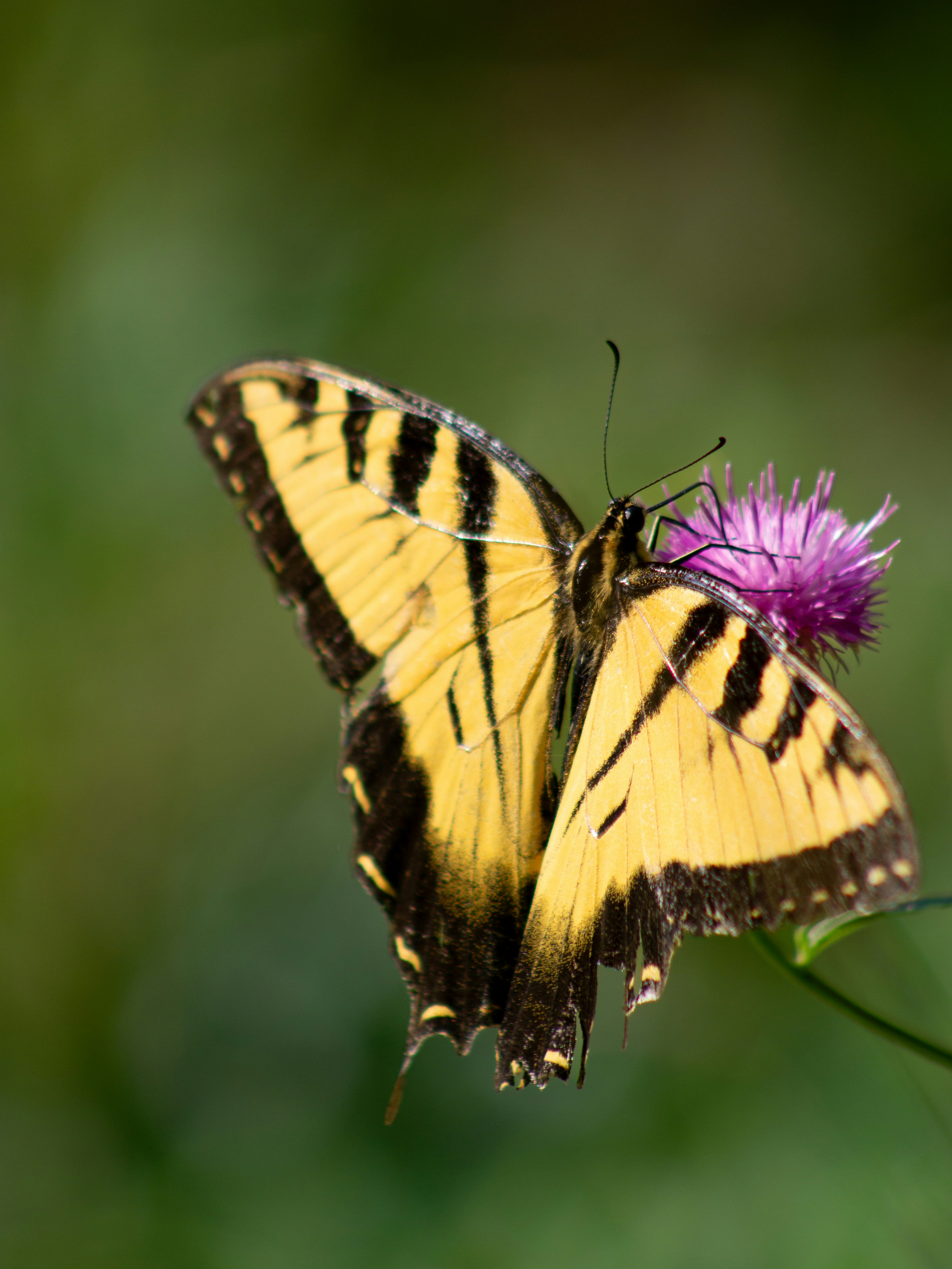 Photo by charlysey278