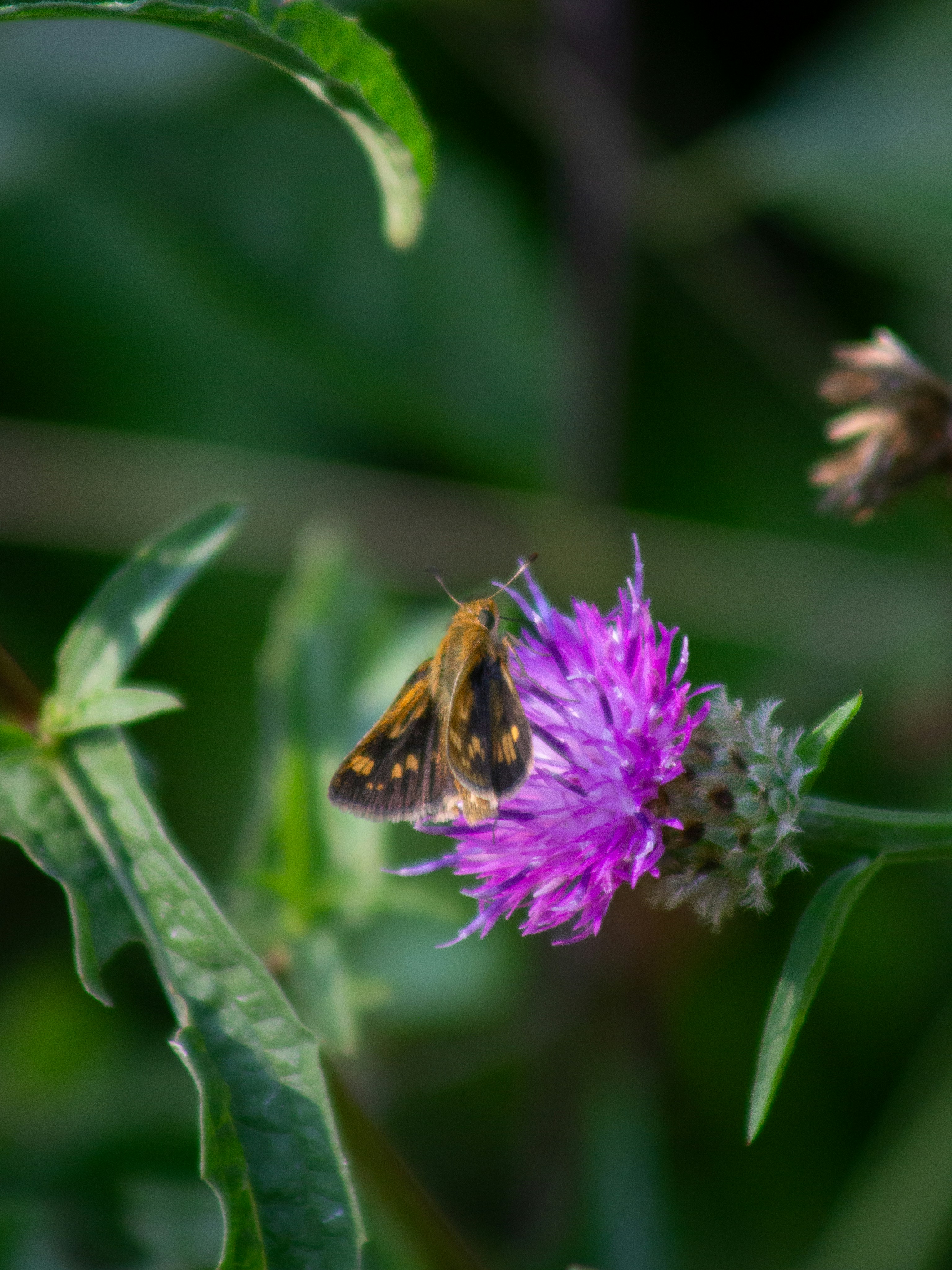 Photo by charlysey278